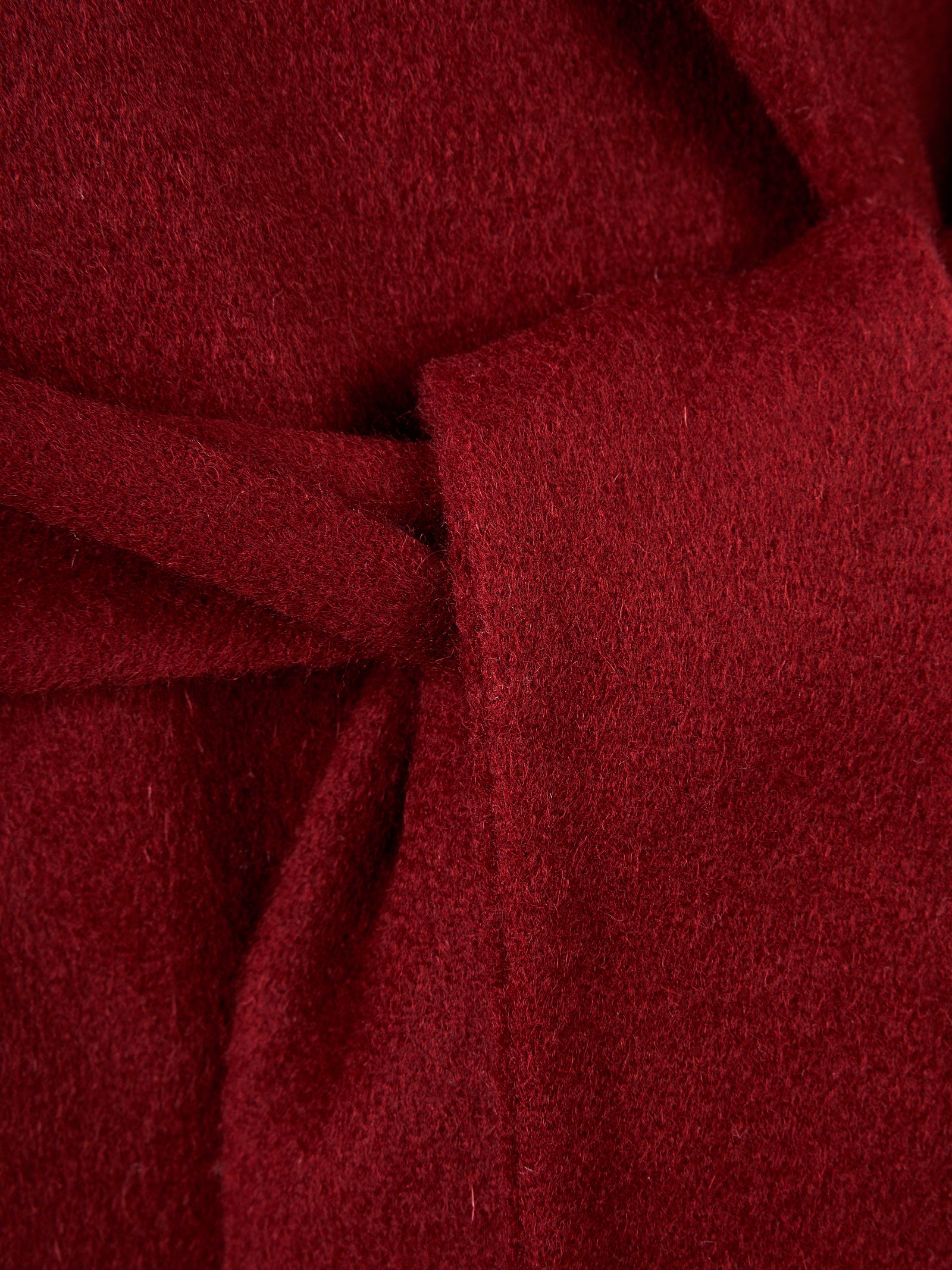 Immagine diapositiva