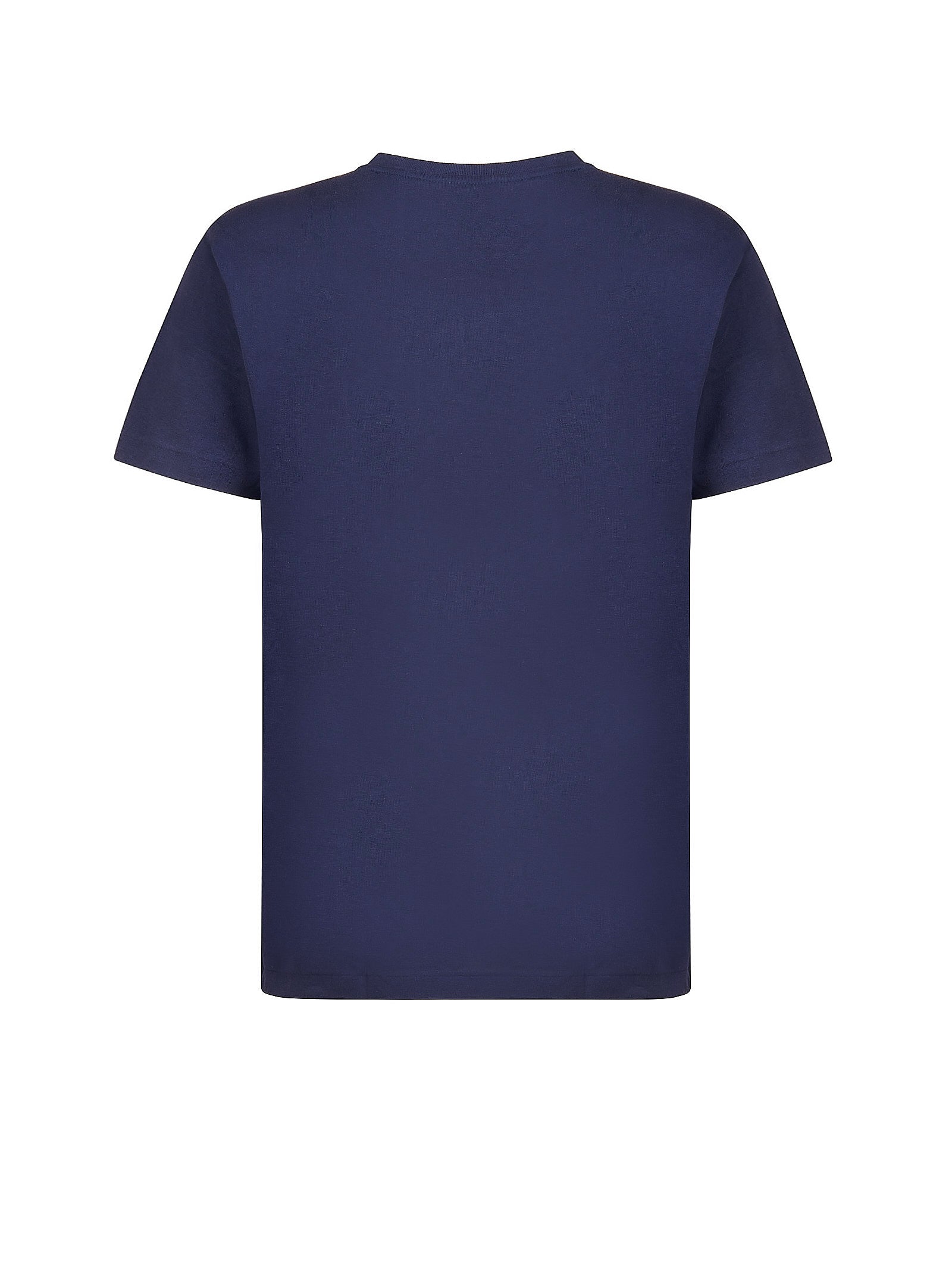 Immagine diapositiva