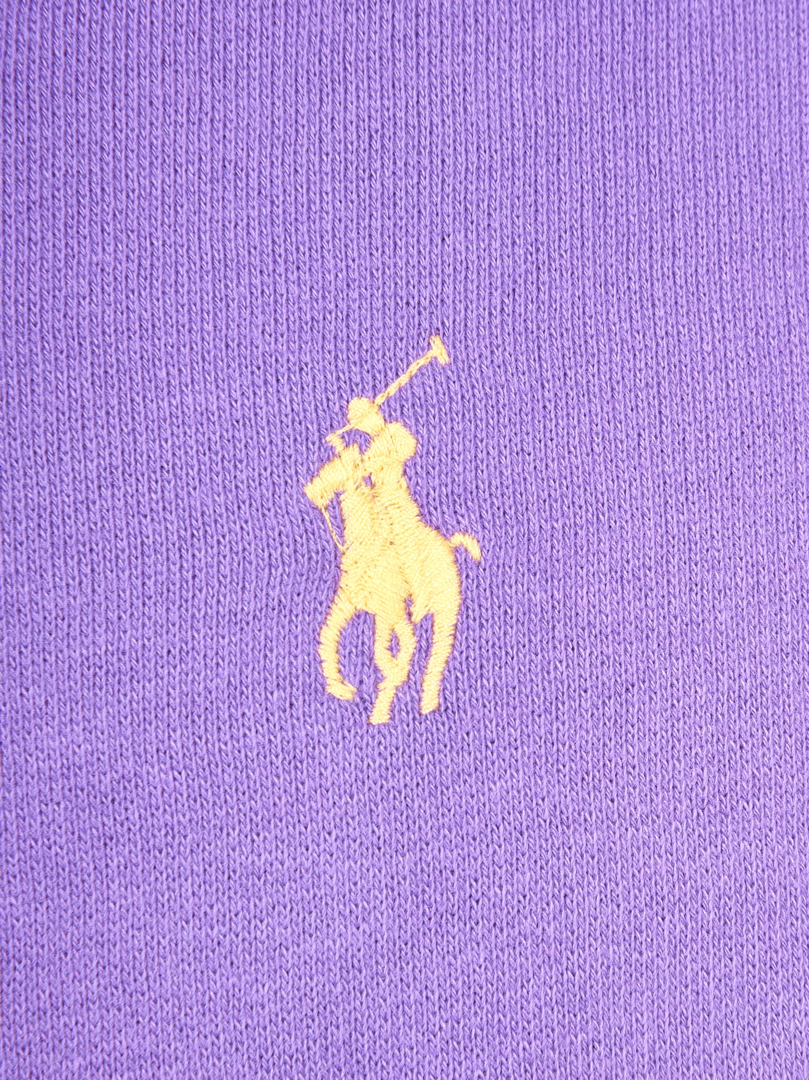 Felpa POLO RALPH LAUREN
Spring violet