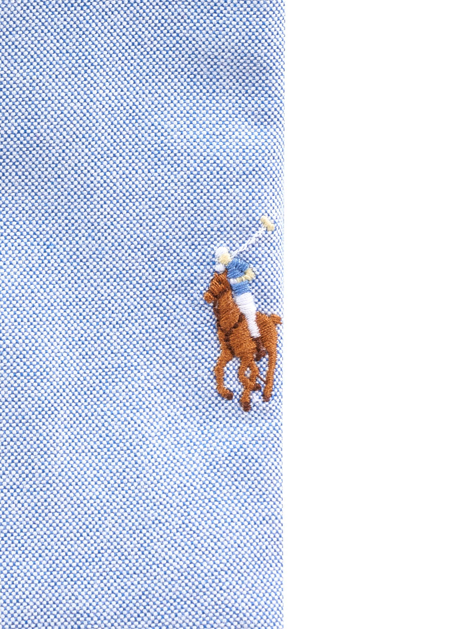 Camicia POLO RALPH LAUREN
Blue