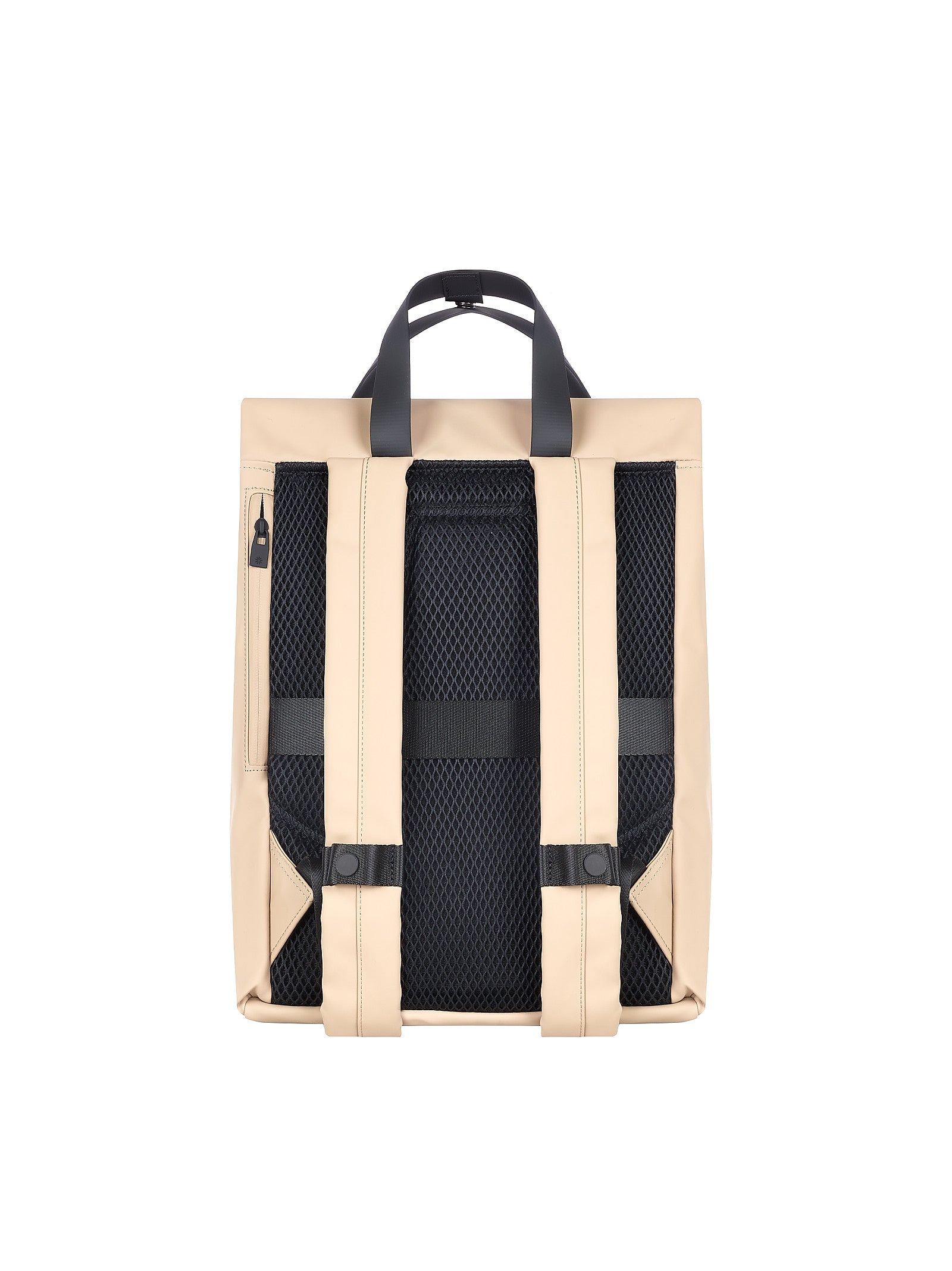 Immagine diapositiva