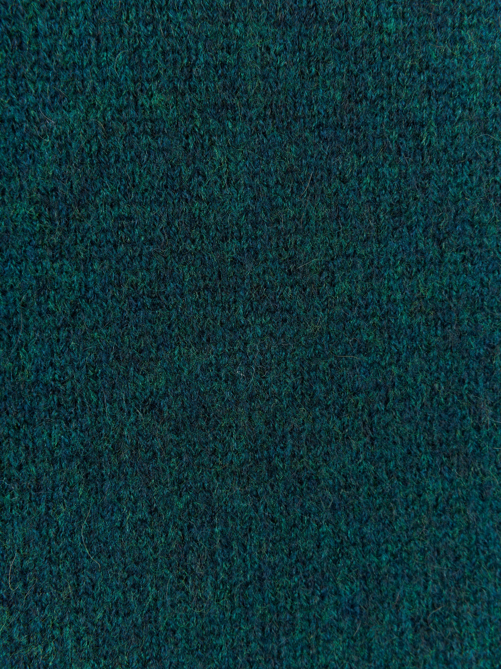 Maglia ROBERTO COLLINA
Verde