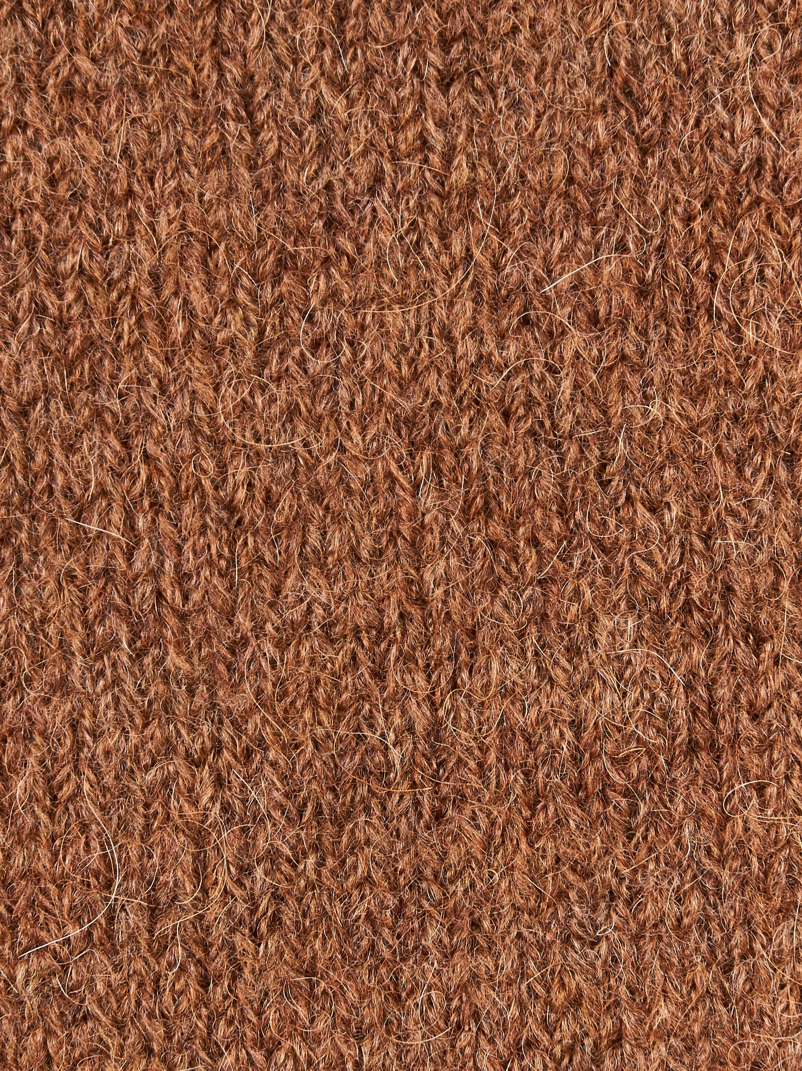 Maglia ROBERTO COLLINA
Tabacco