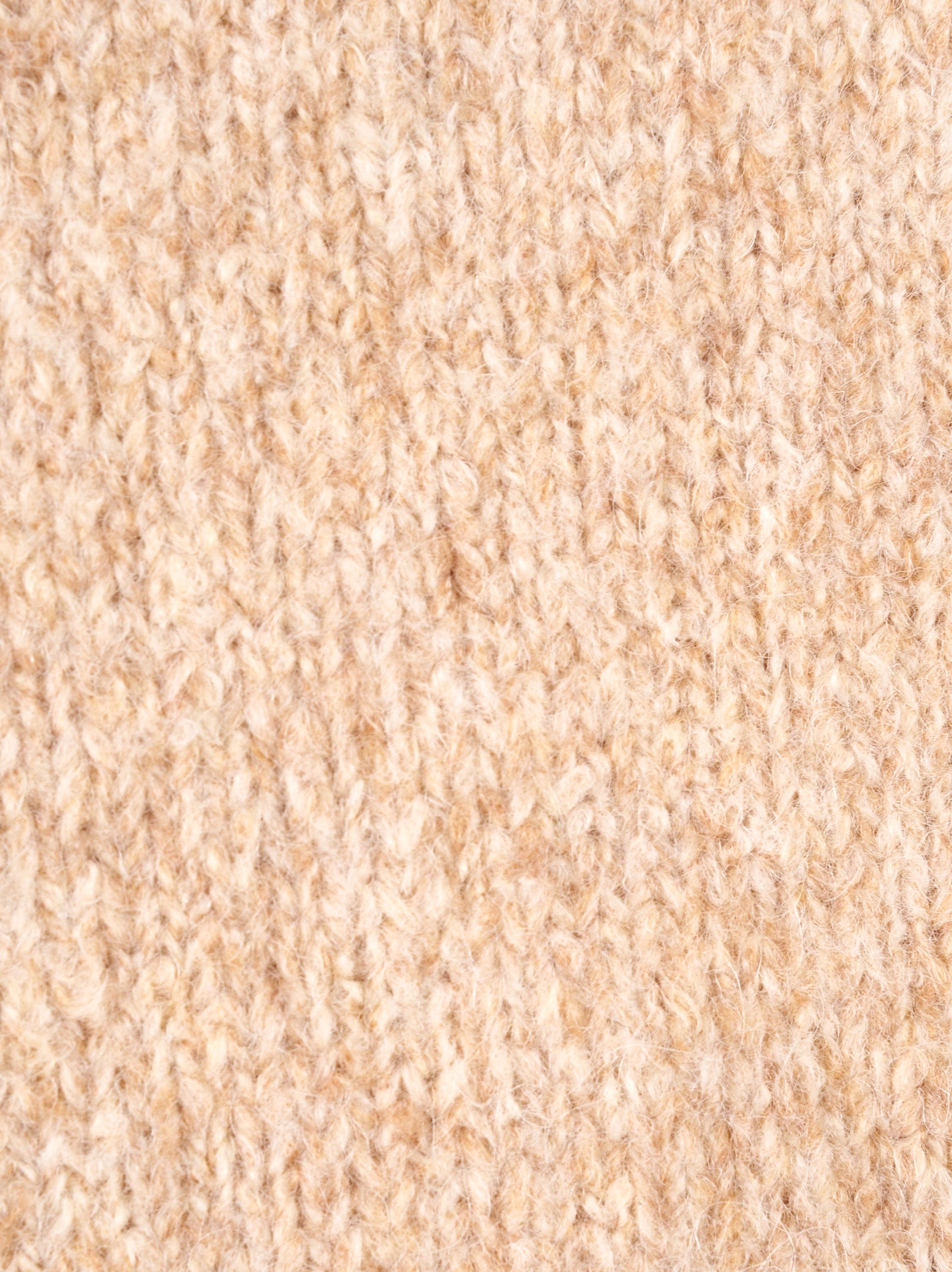 Immagine diapositiva