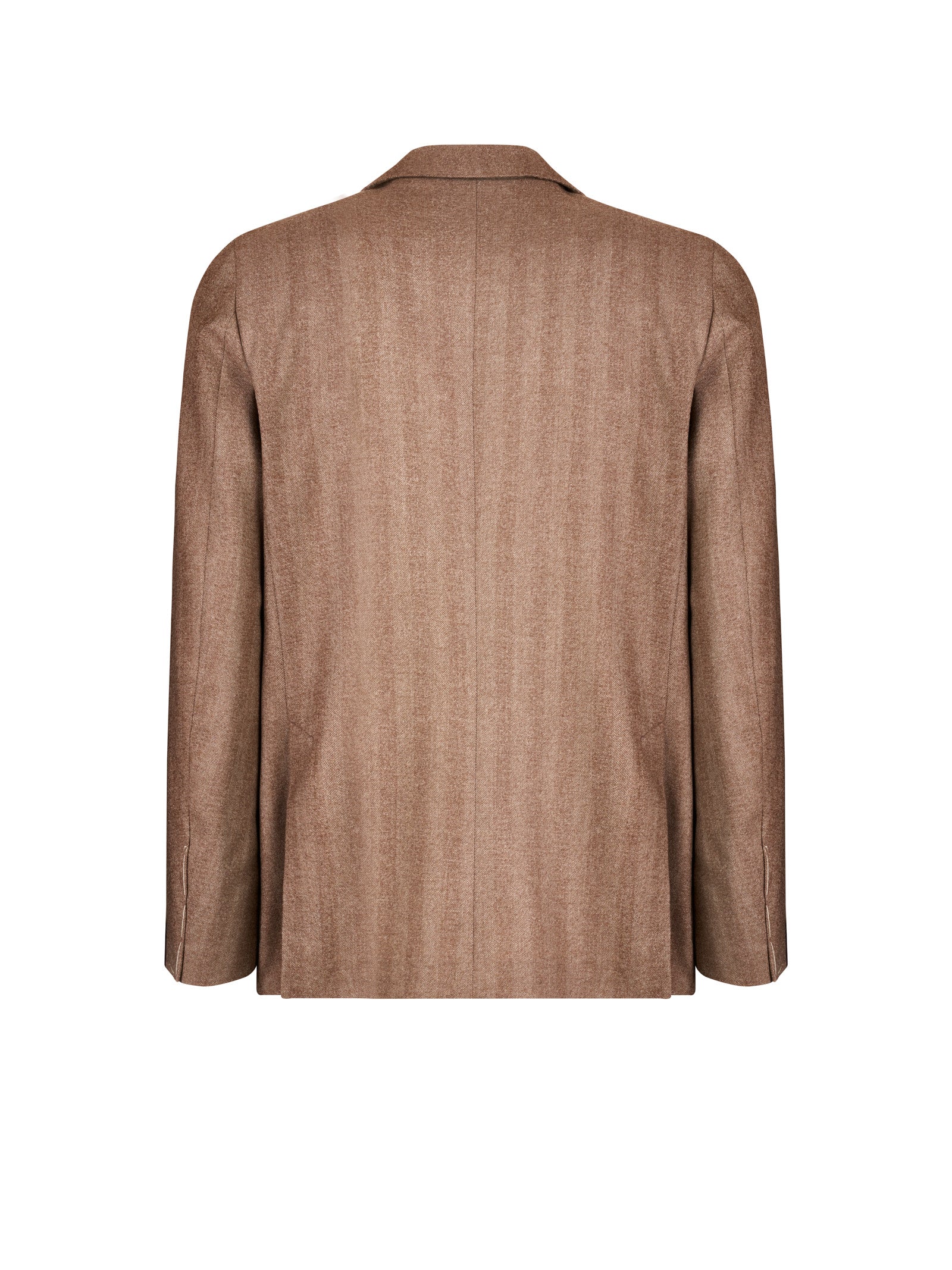 Immagine diapositiva