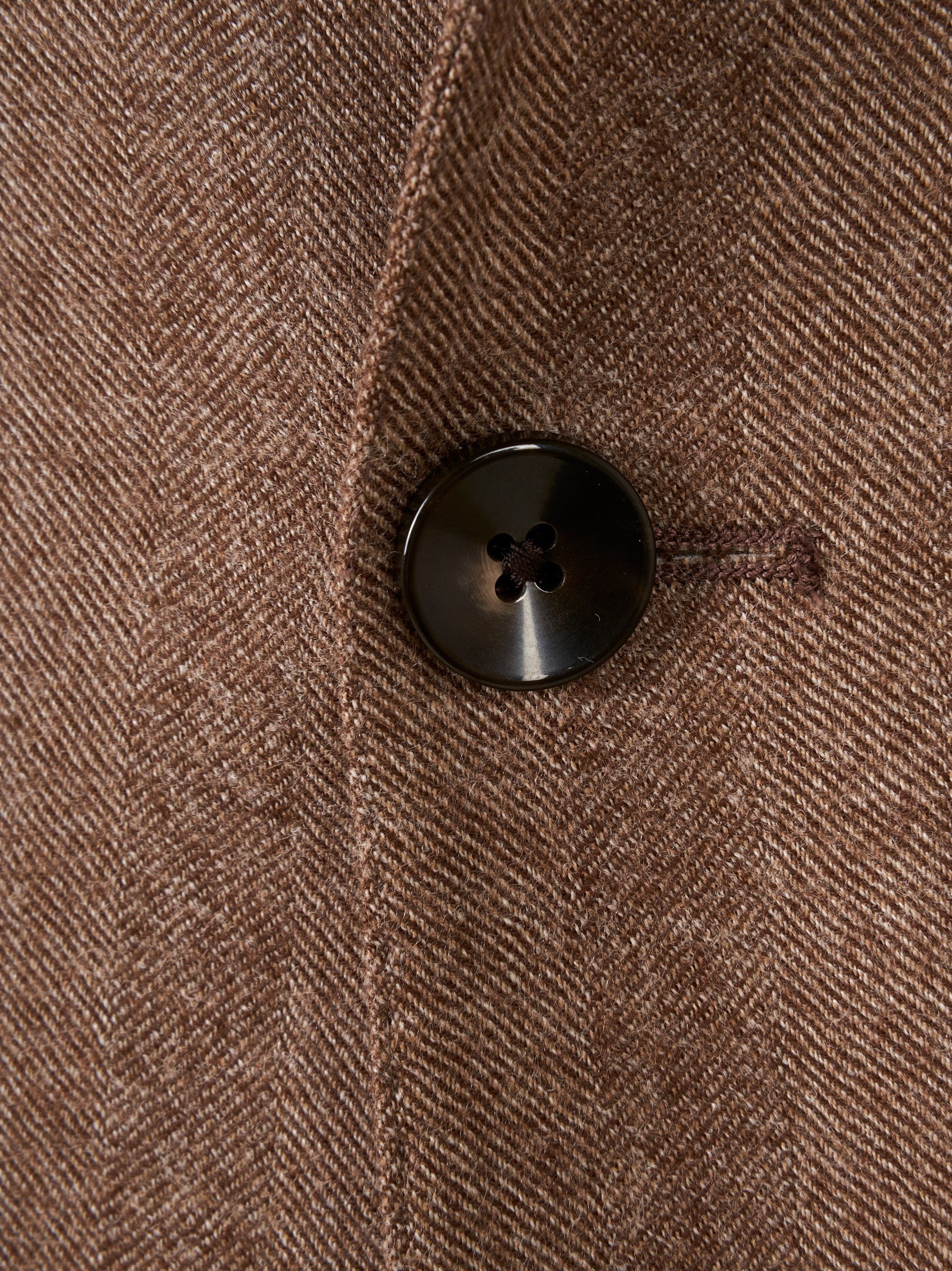 Immagine diapositiva