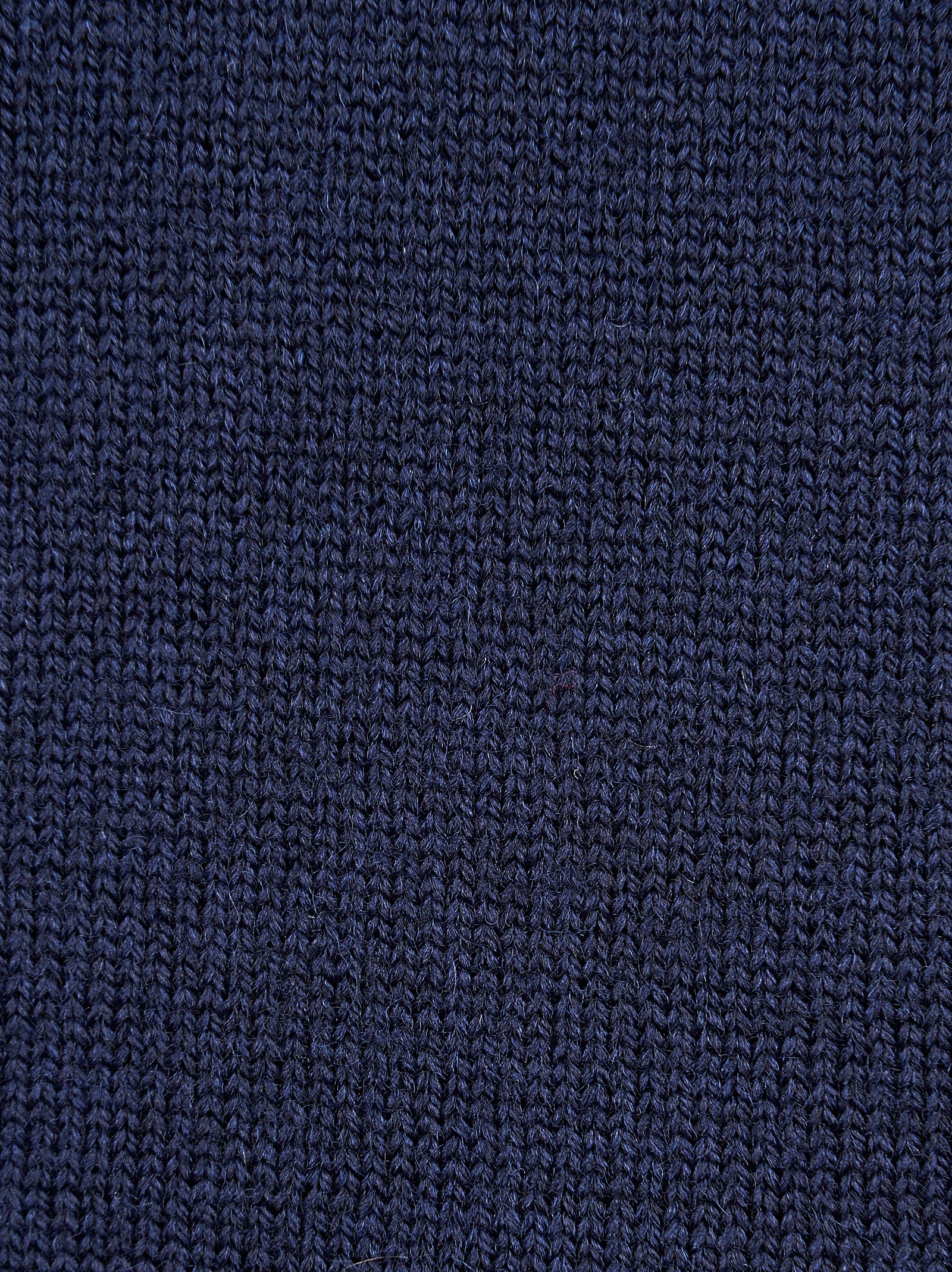 Immagine diapositiva