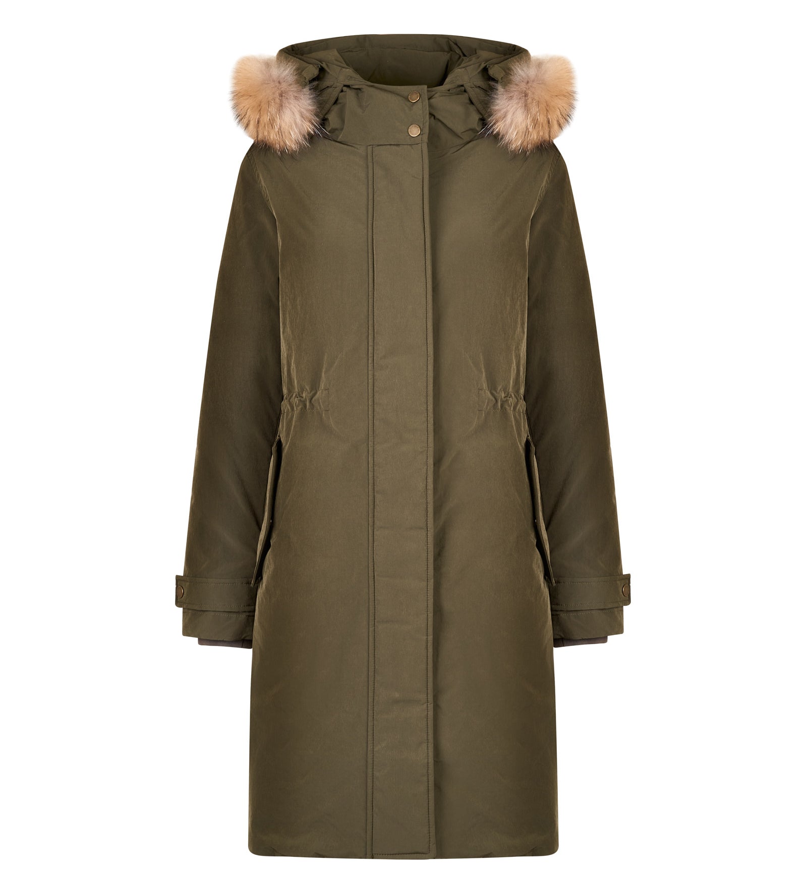 Immagine diapositiva