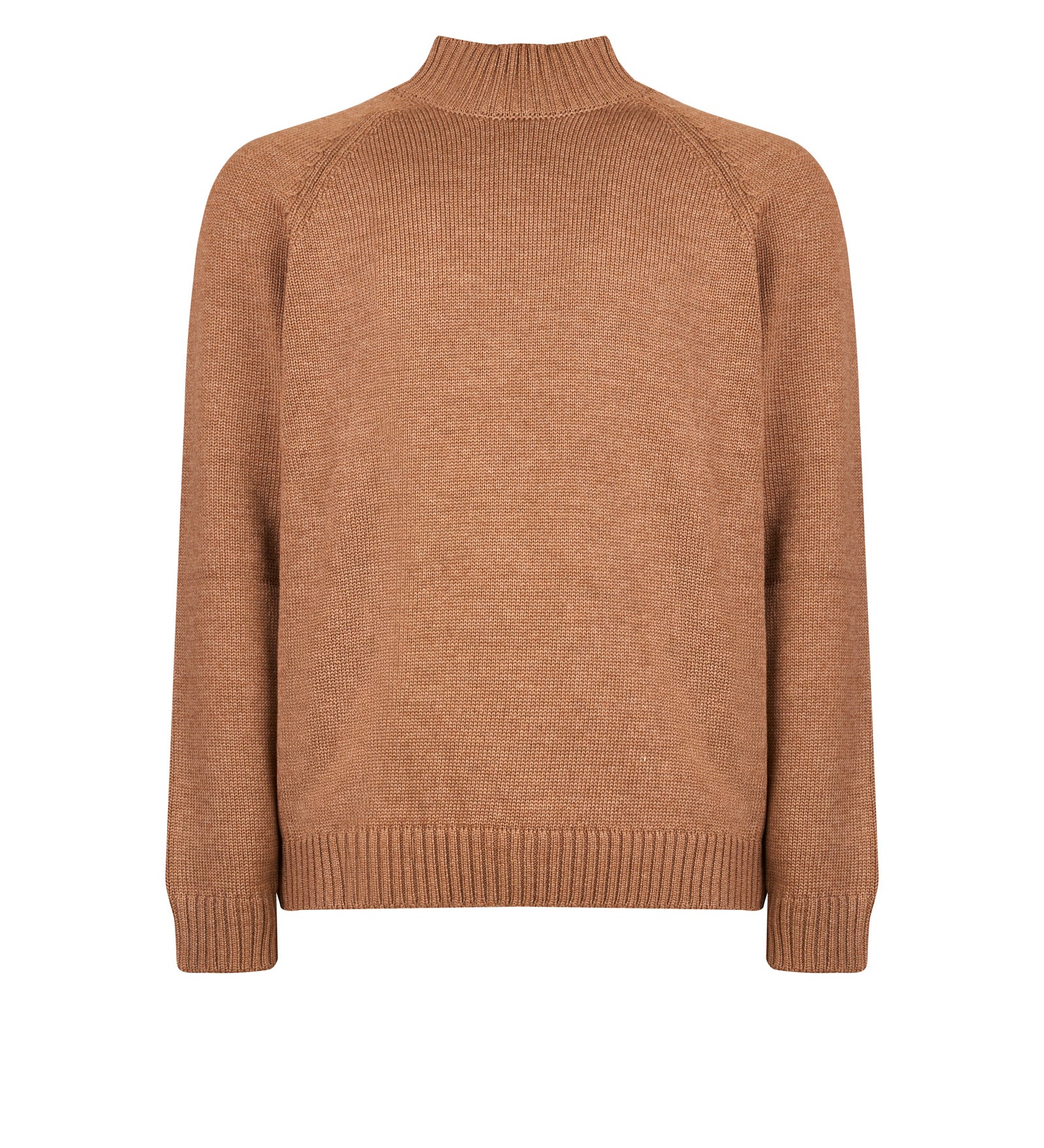 Immagine diapositiva