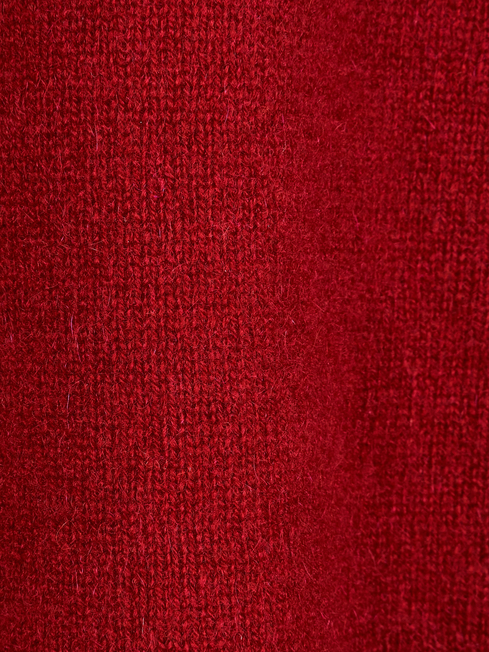 Immagine diapositiva