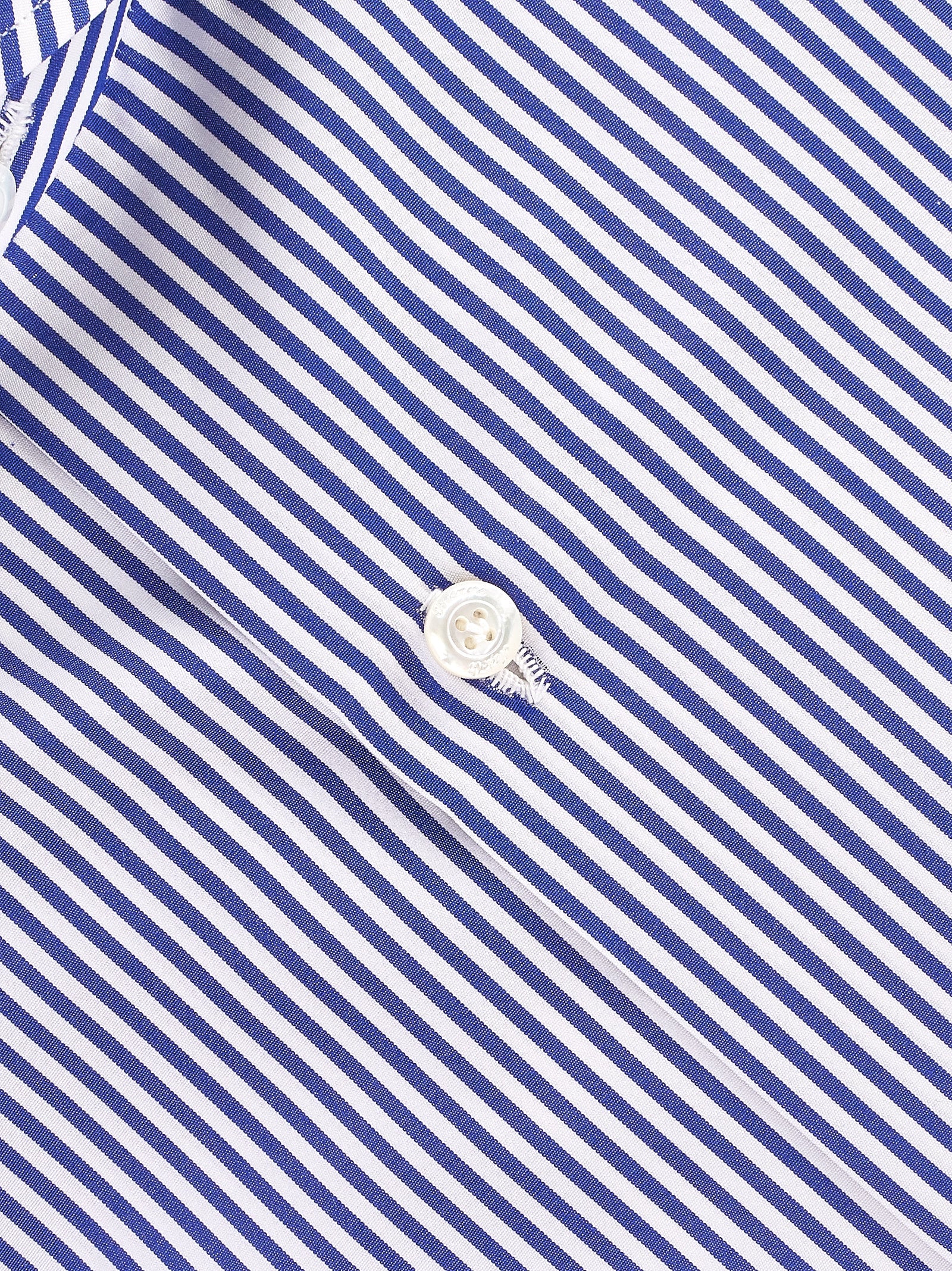 Immagine diapositiva