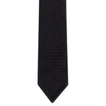 Immagine diapositiva
