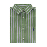 Camicia POLO RALPH LAUREN Rigato
Green/white