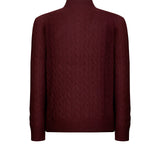 Mezza zip POLO RALPH LAUREN
Aged wine