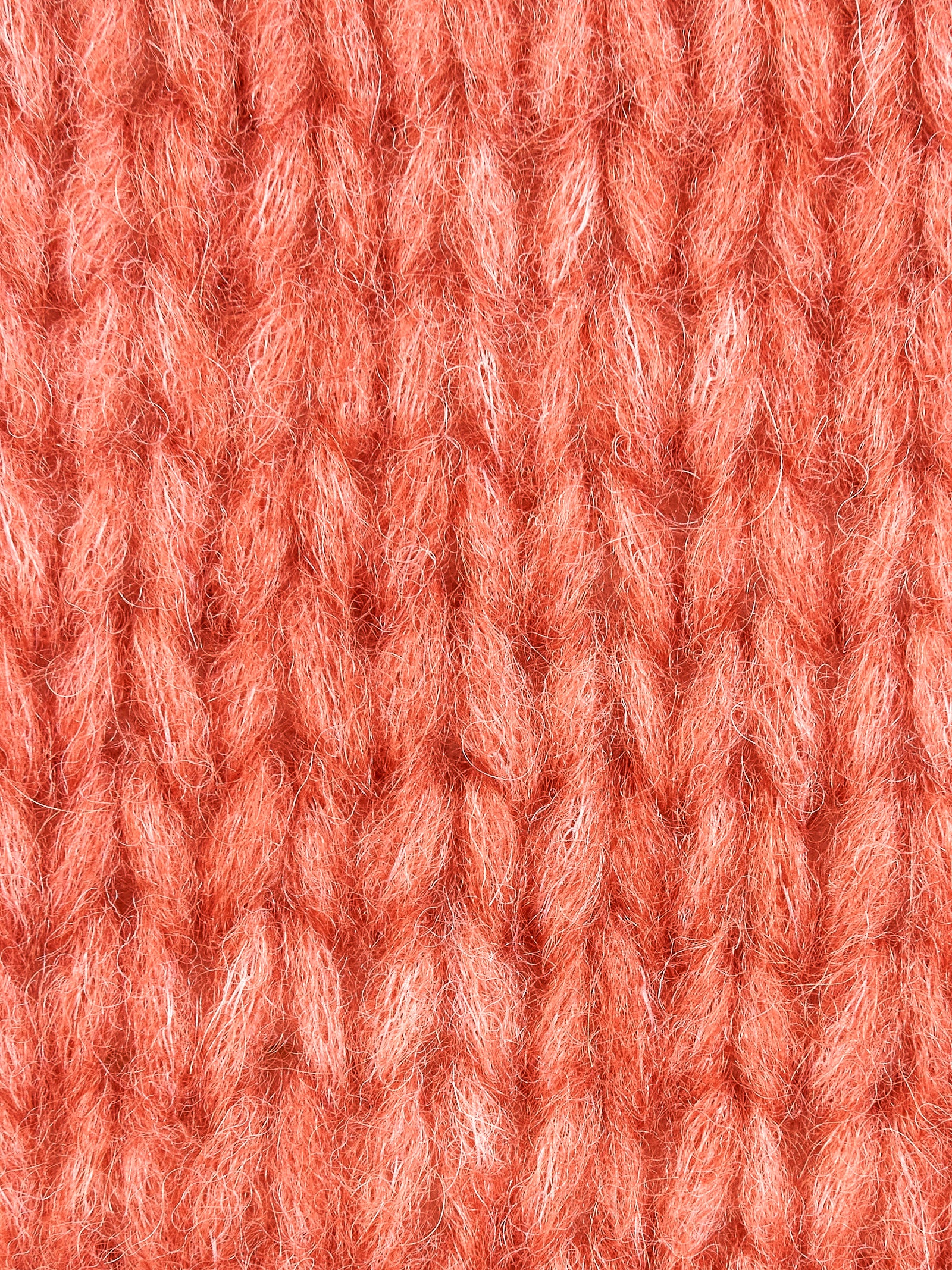 Immagine diapositiva