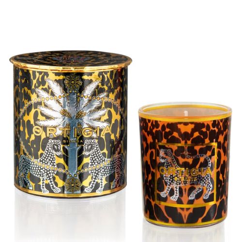 Immagine diapositiva