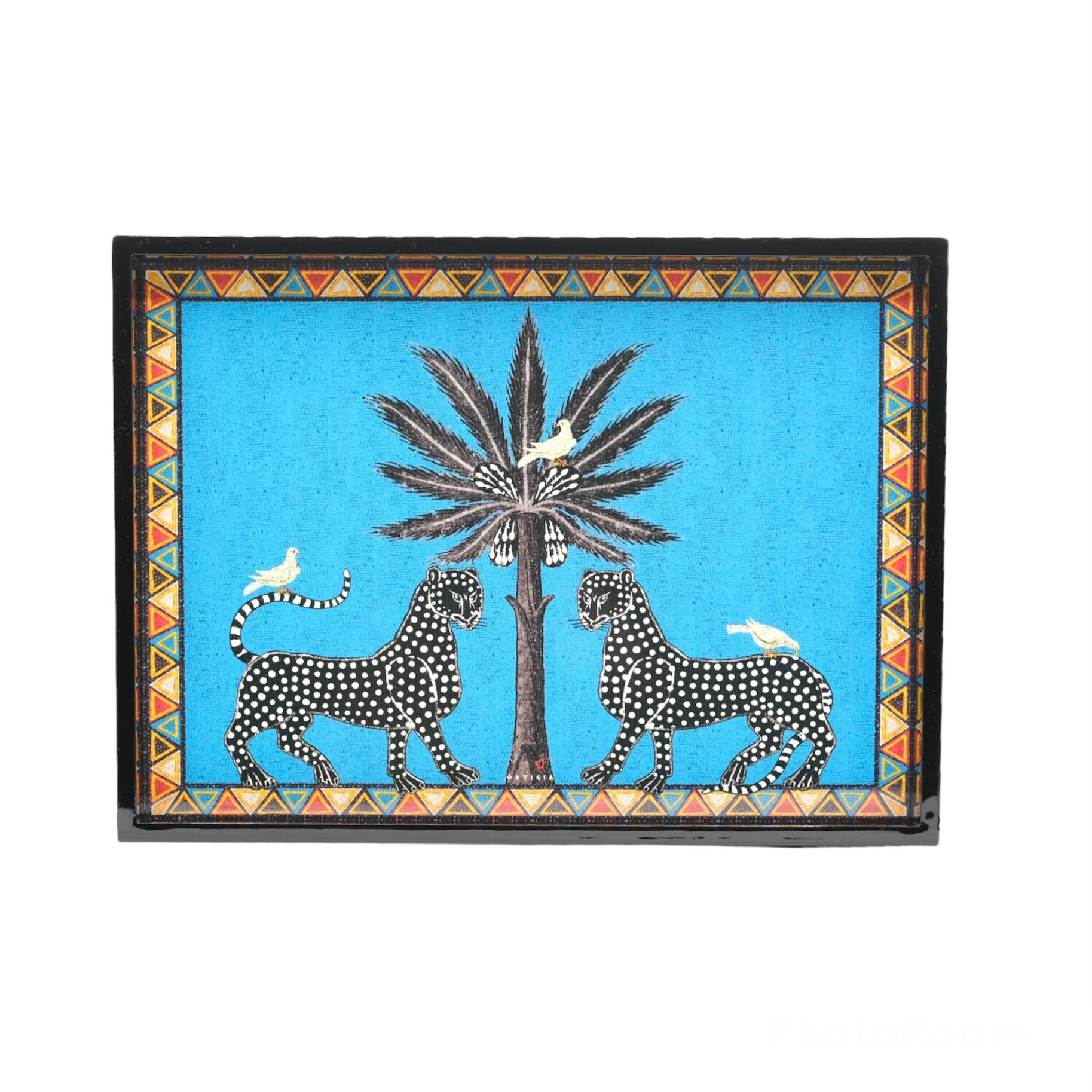 Immagine diapositiva