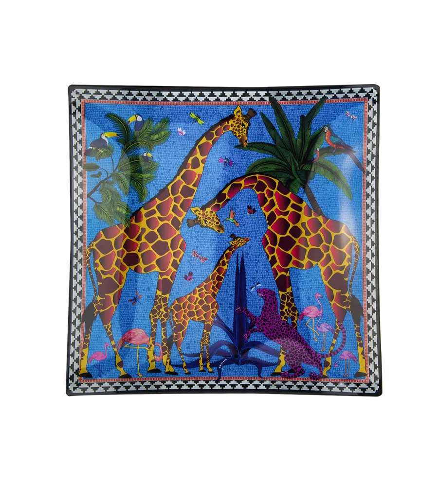 Immagine diapositiva