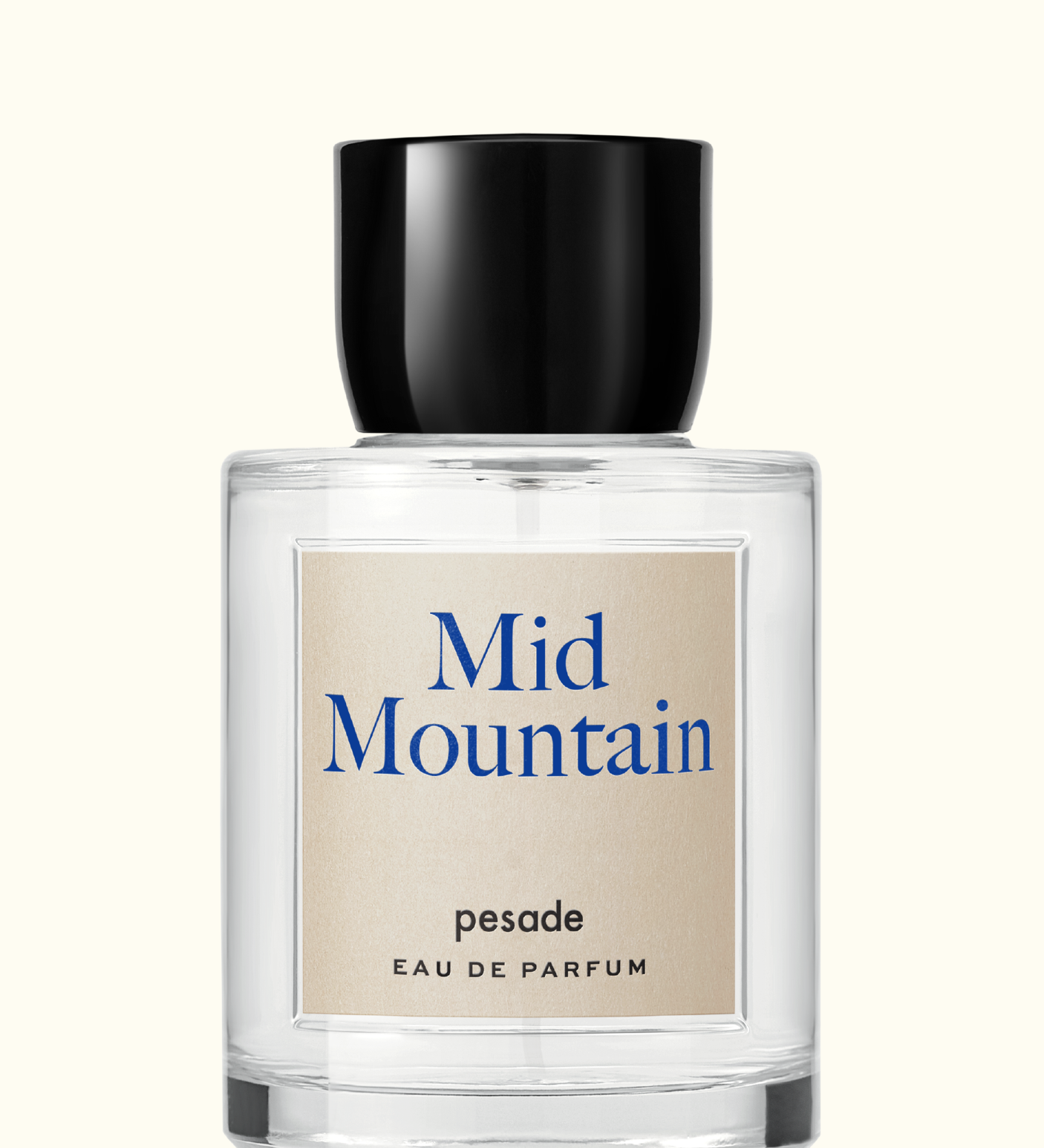 Immagine diapositiva