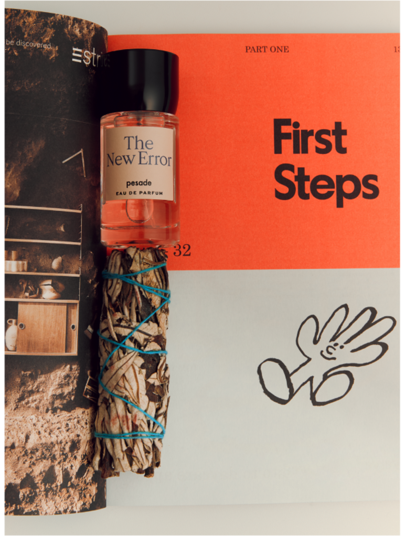 Immagine diapositiva