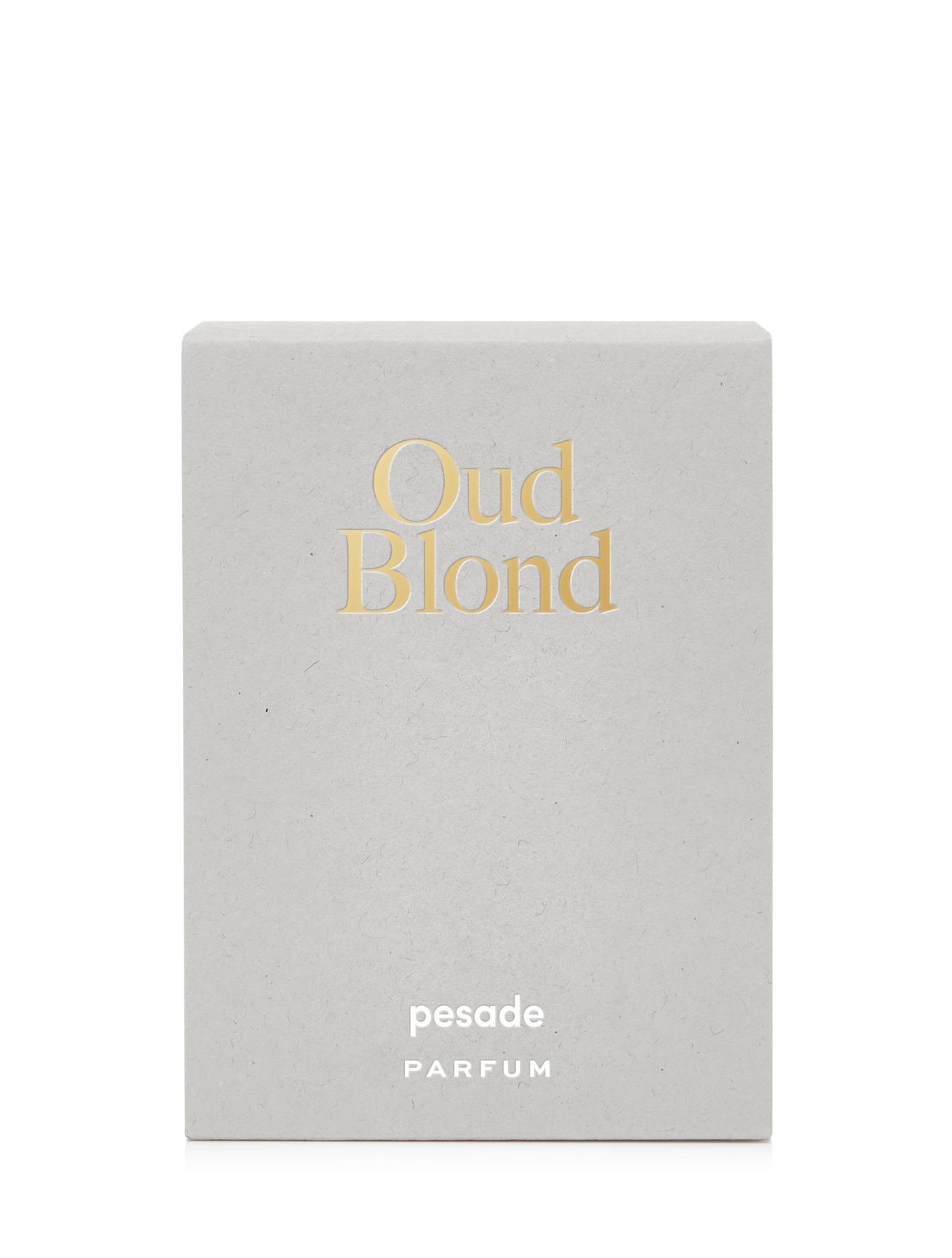 Immagine diapositiva