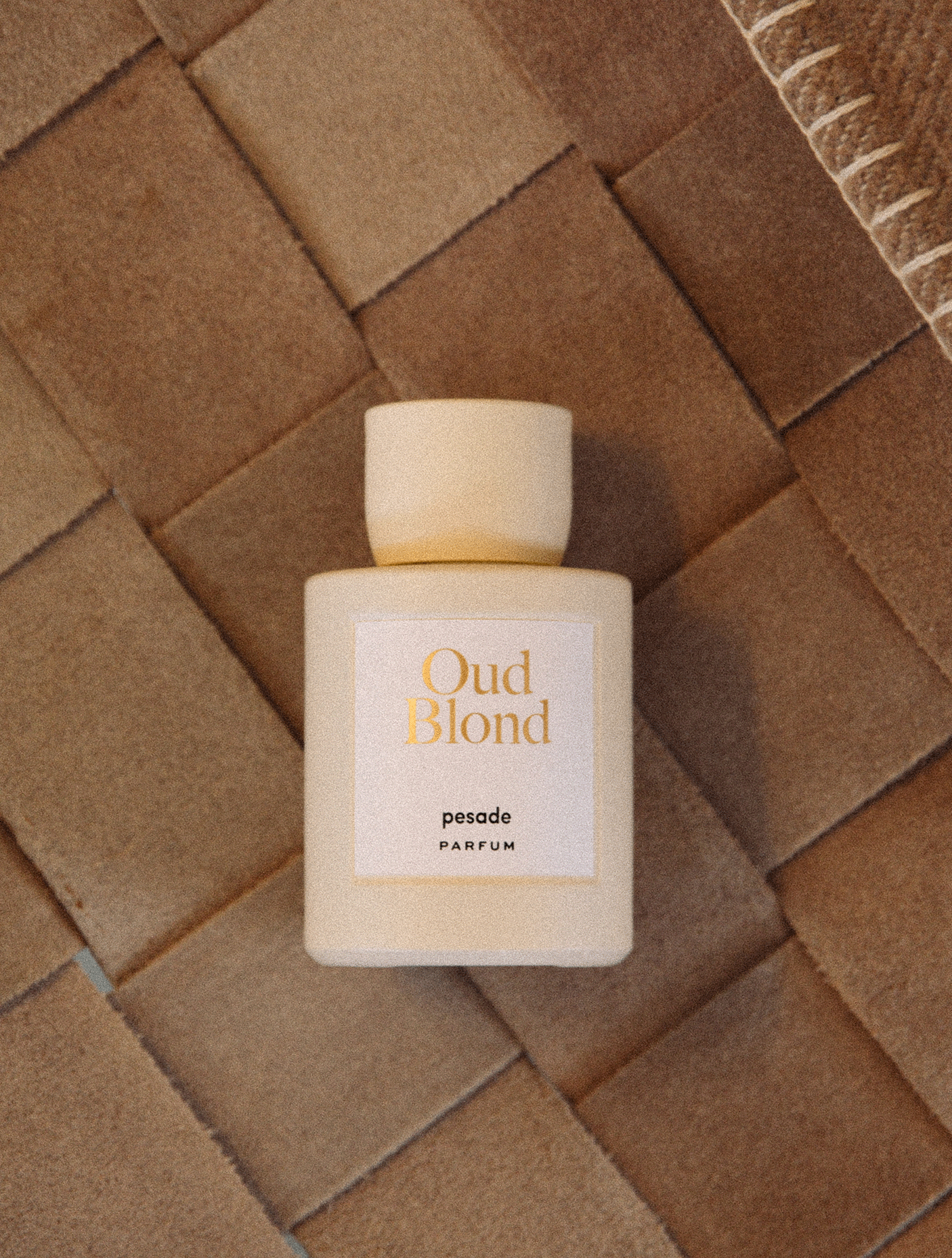 Immagine diapositiva