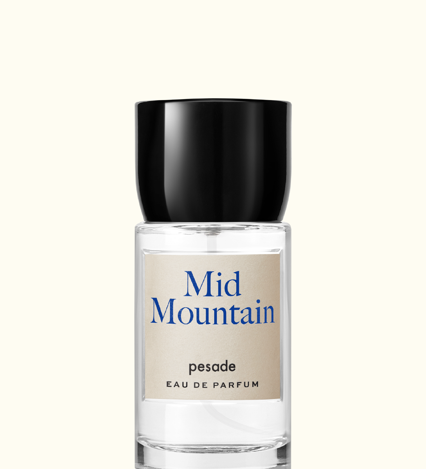 Immagine diapositiva