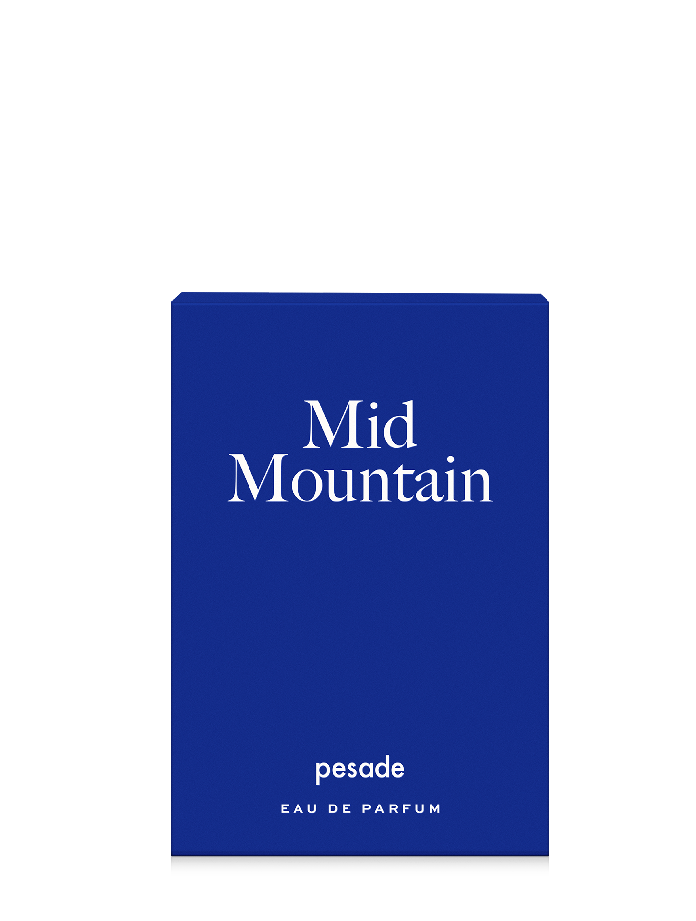 Immagine diapositiva