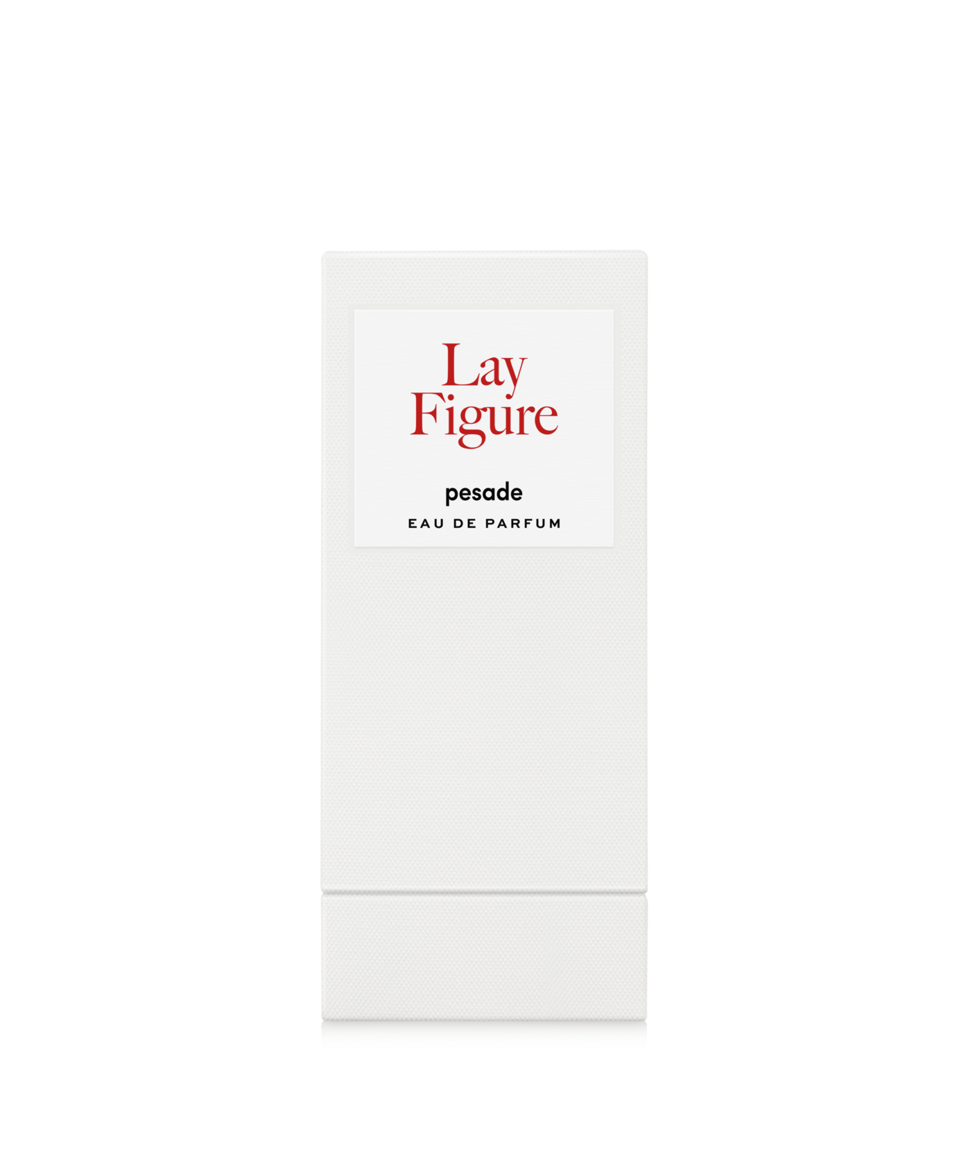 Immagine diapositiva