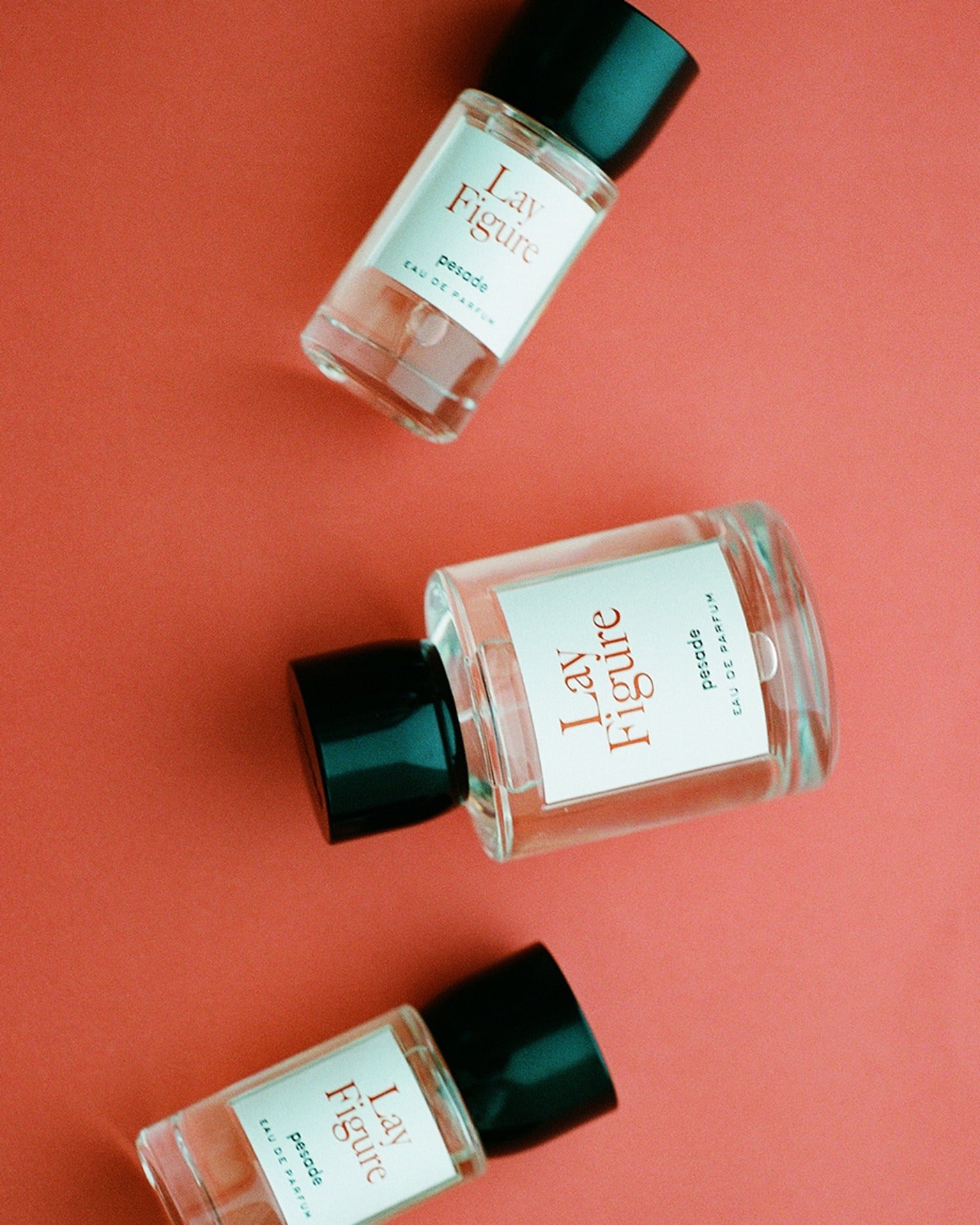 Immagine diapositiva