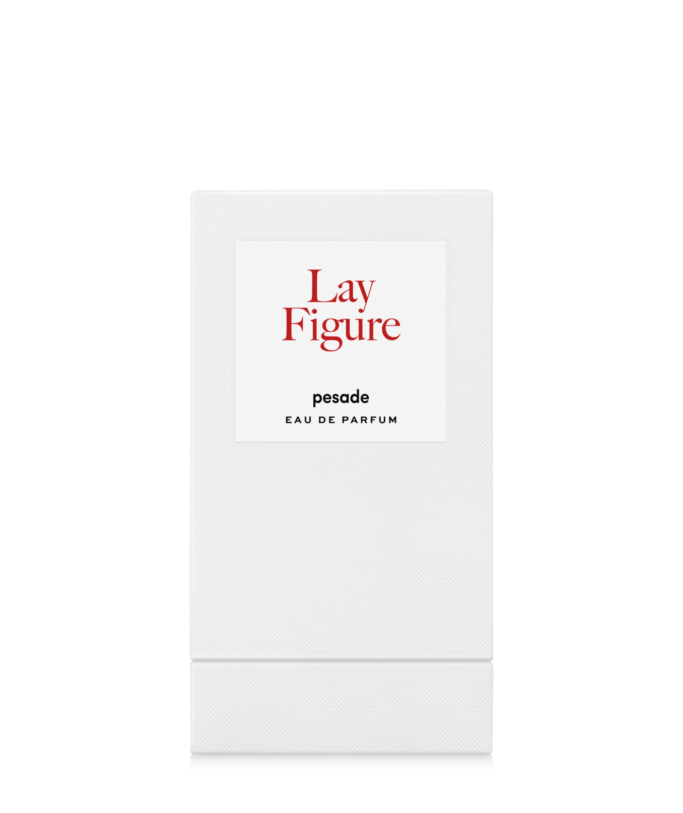 Immagine diapositiva