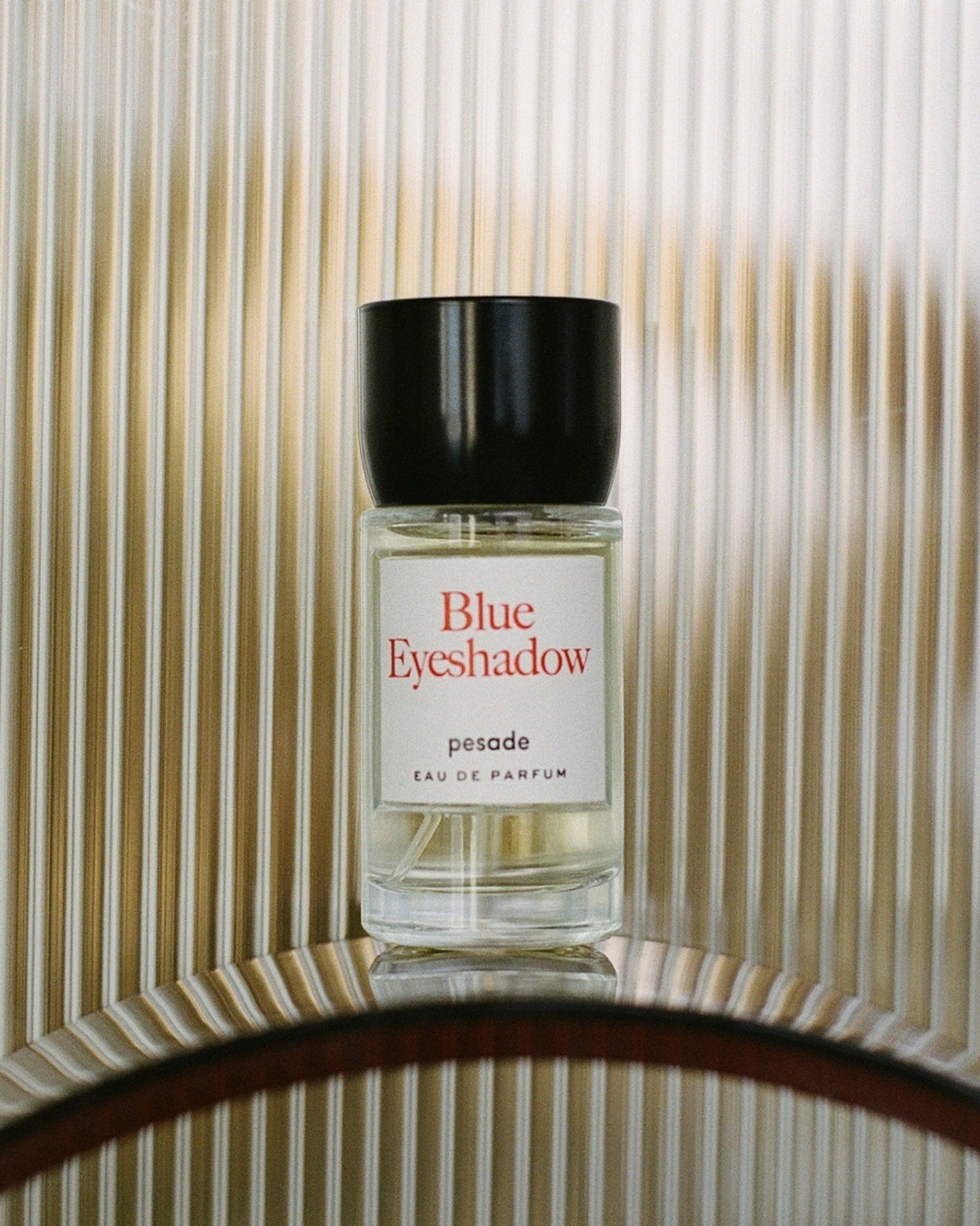 Immagine diapositiva