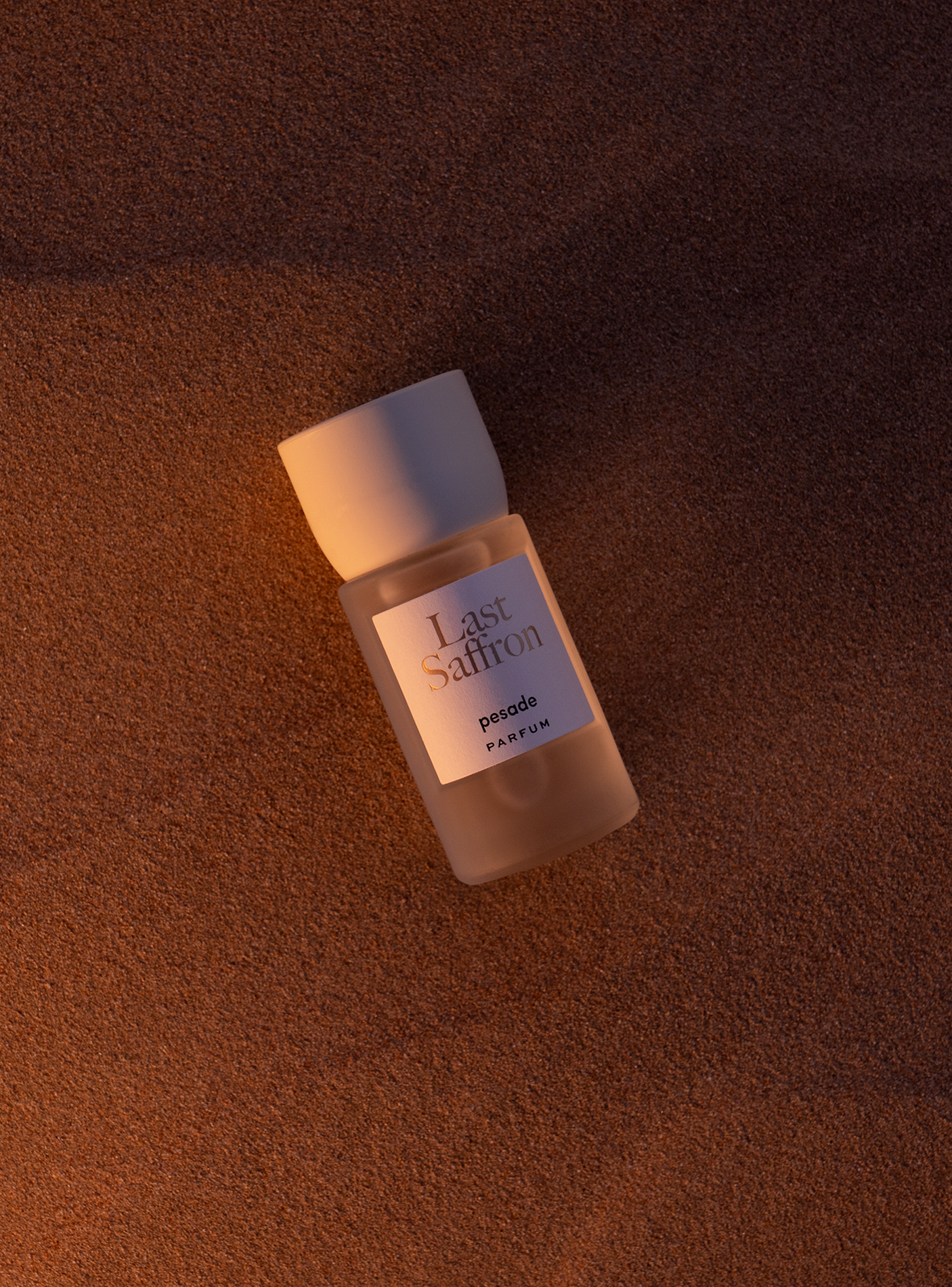 Immagine diapositiva