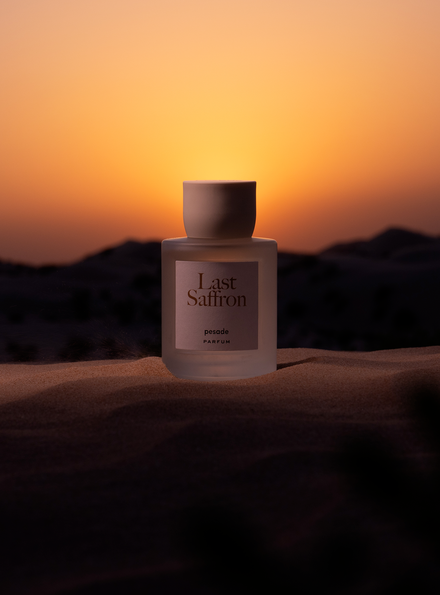 Immagine diapositiva