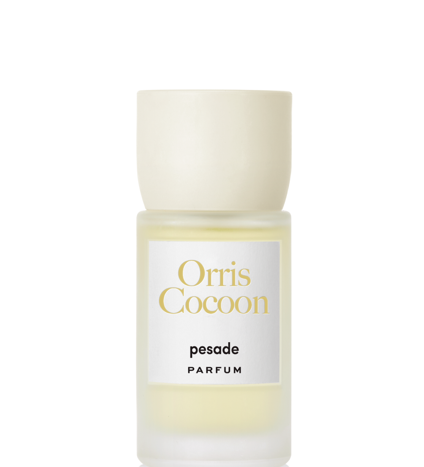 Immagine diapositiva