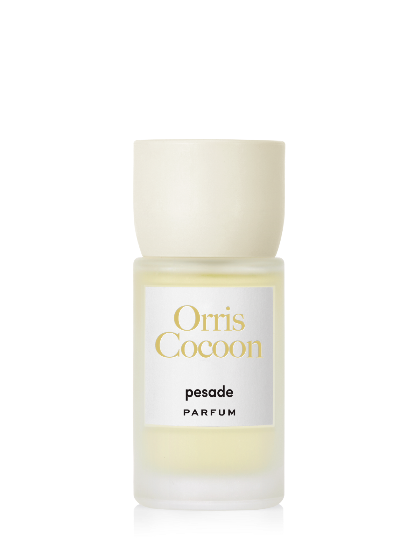 Immagine diapositiva