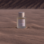 Immagine diapositiva