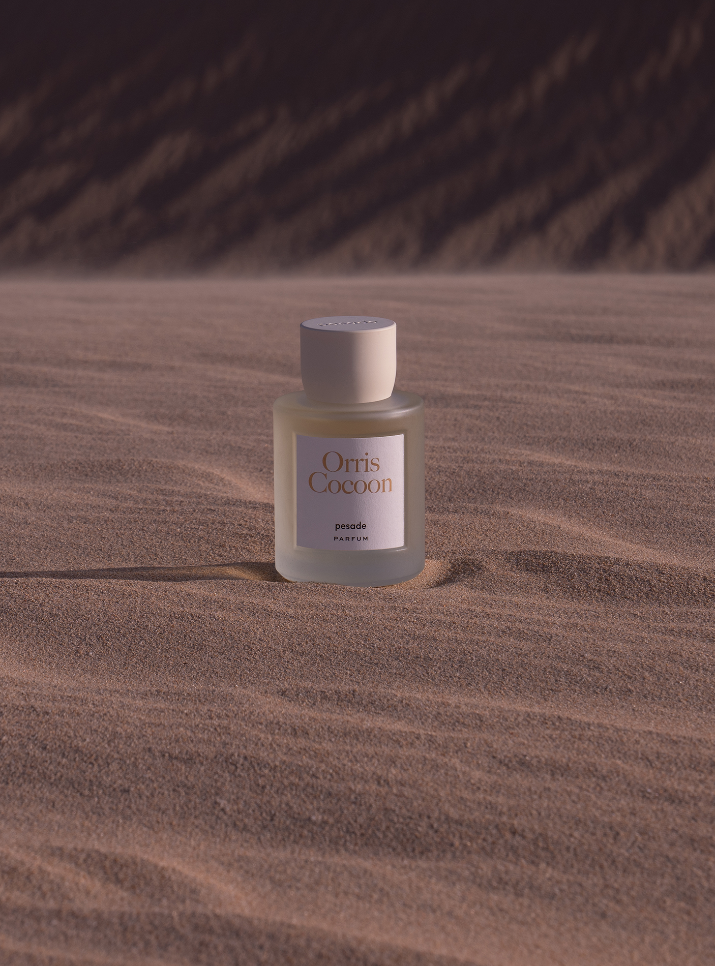 Immagine diapositiva