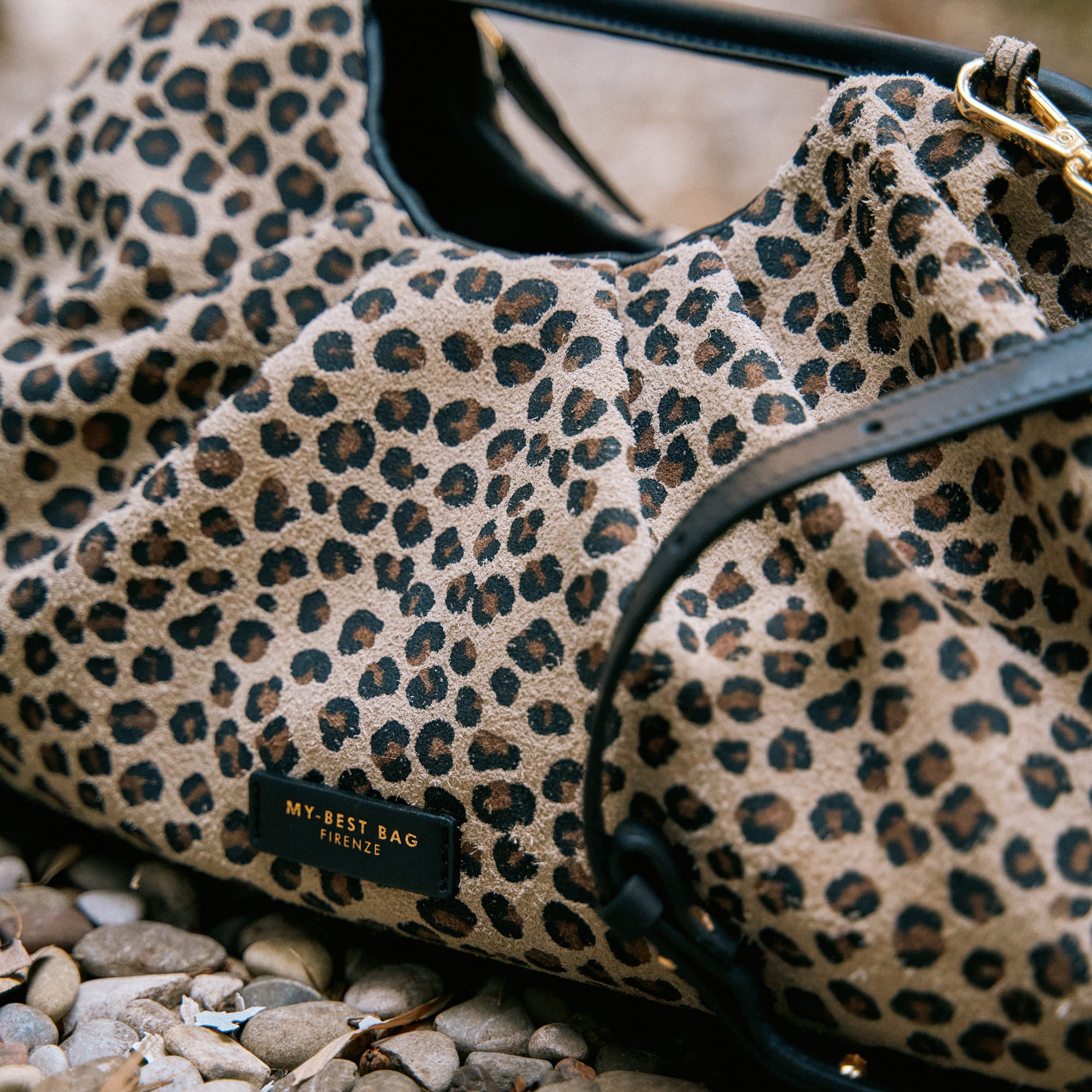 Immagine diapositiva