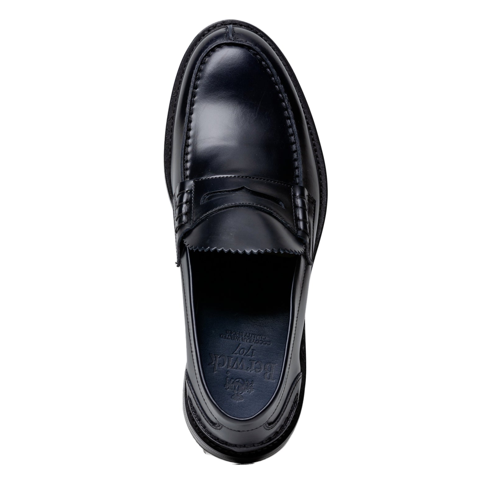 Immagine diapositiva