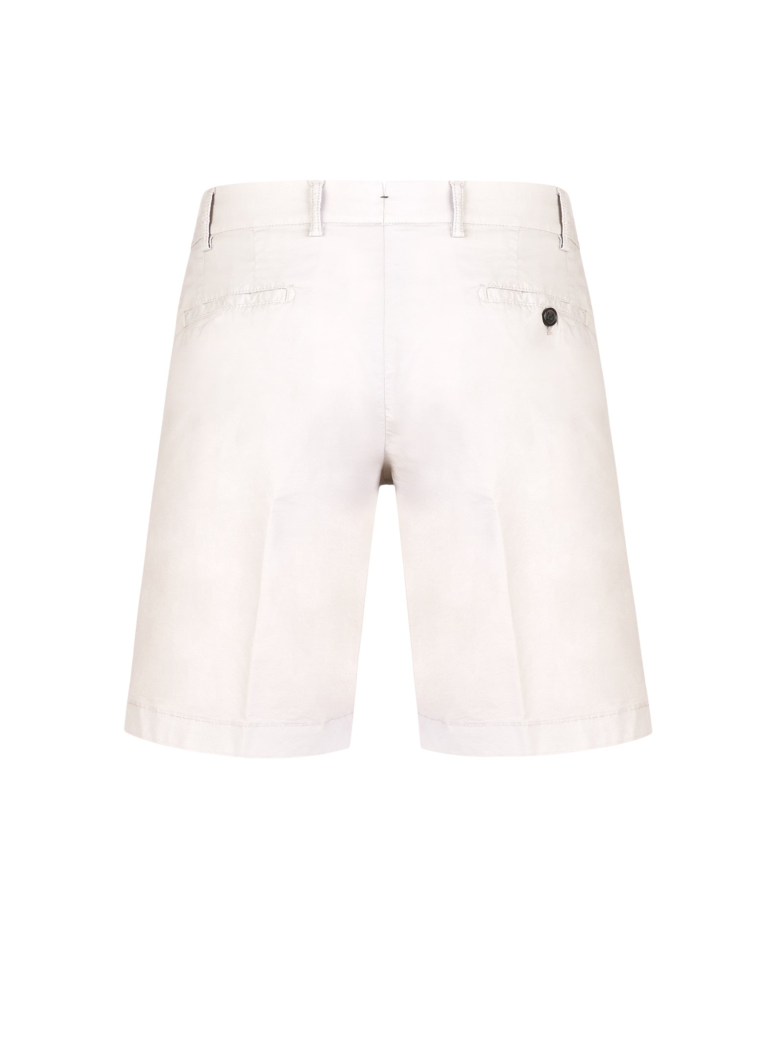 Immagine diapositiva