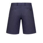 Immagine diapositiva