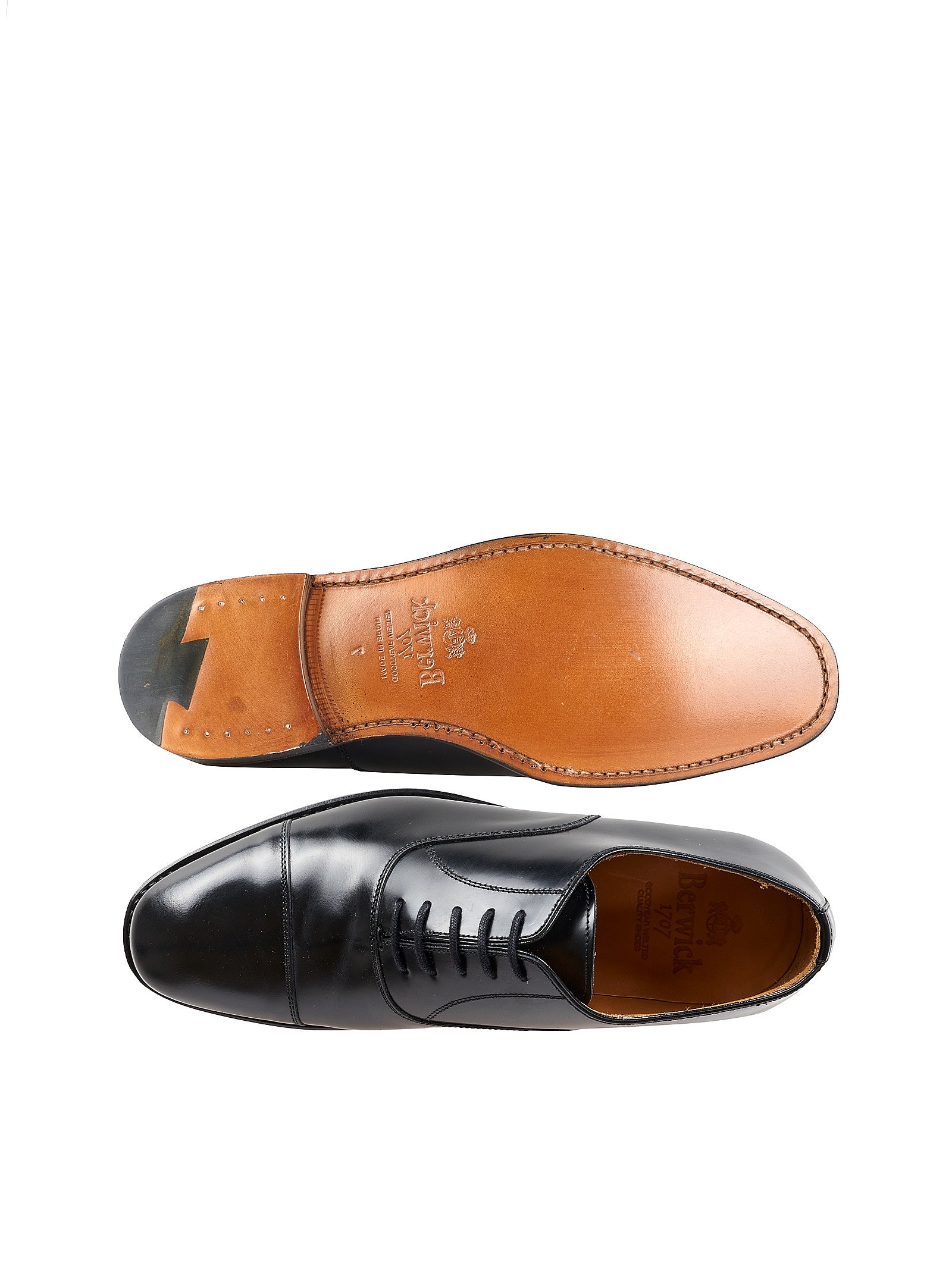 Immagine diapositiva