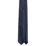 Immagine diapositiva