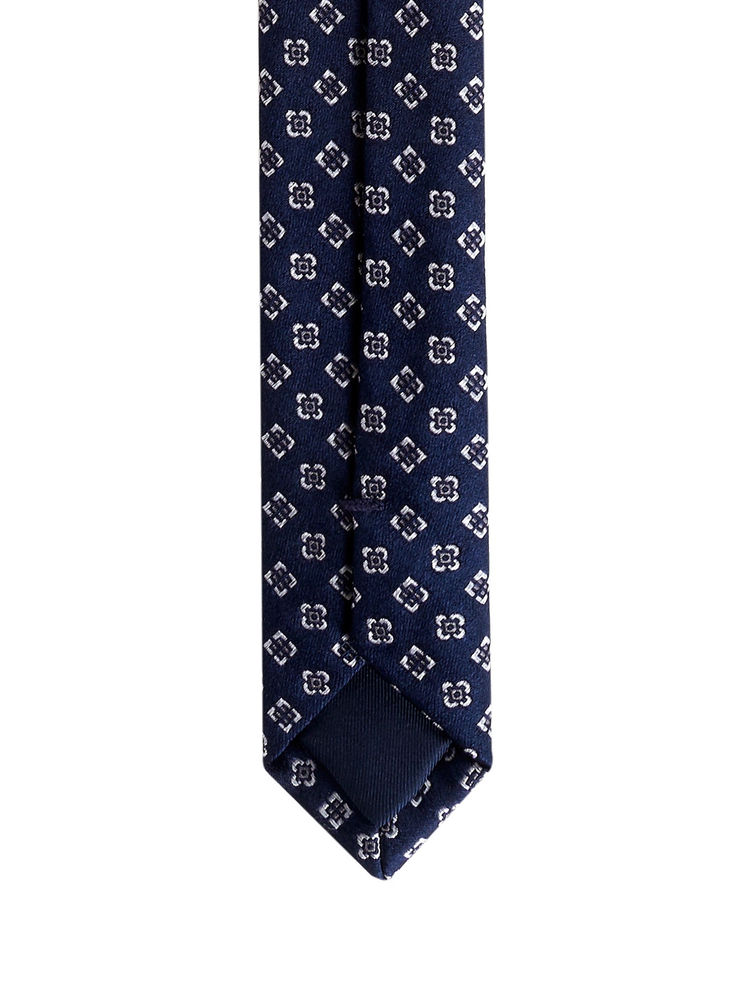 Immagine diapositiva