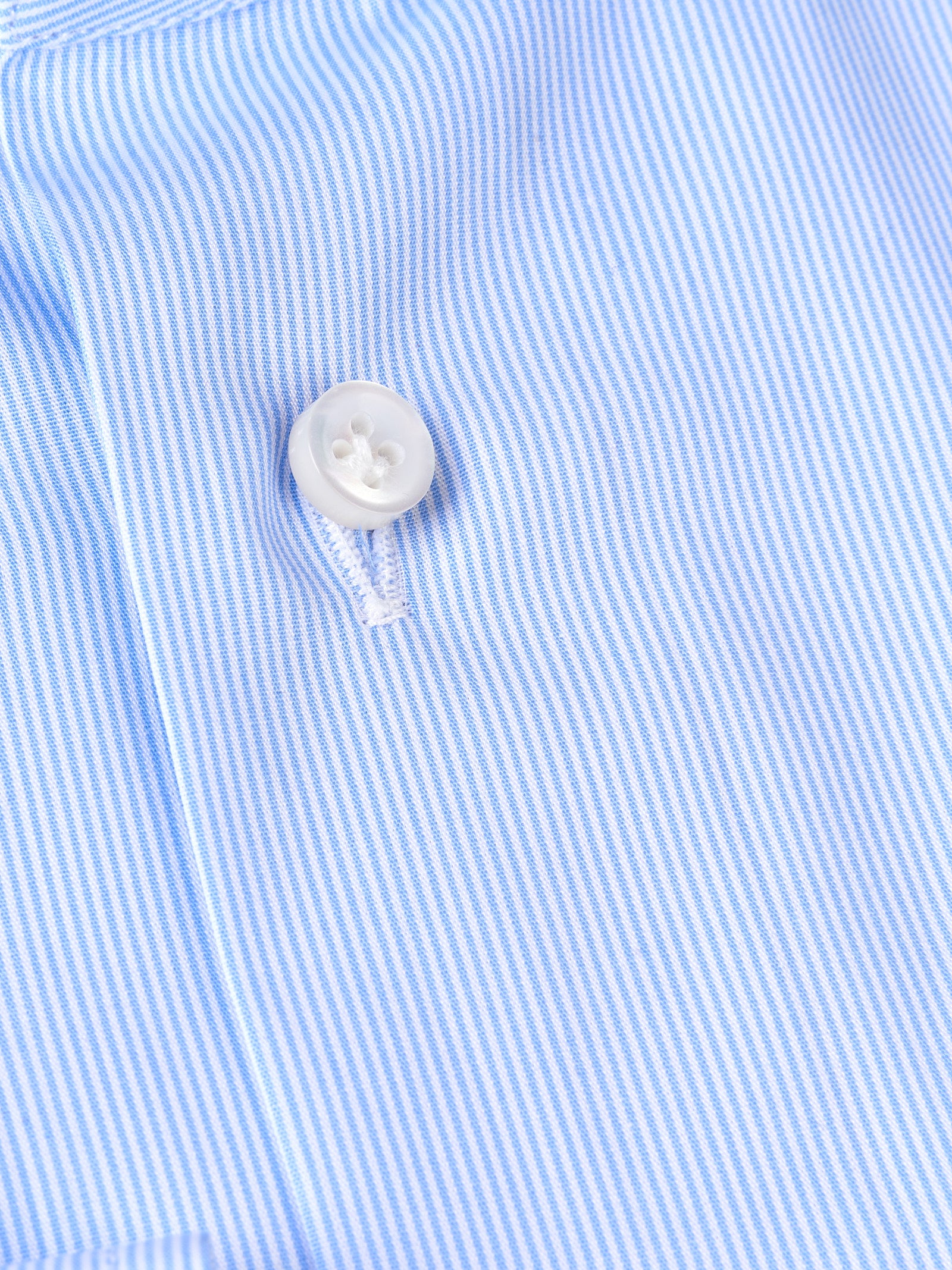 Immagine diapositiva