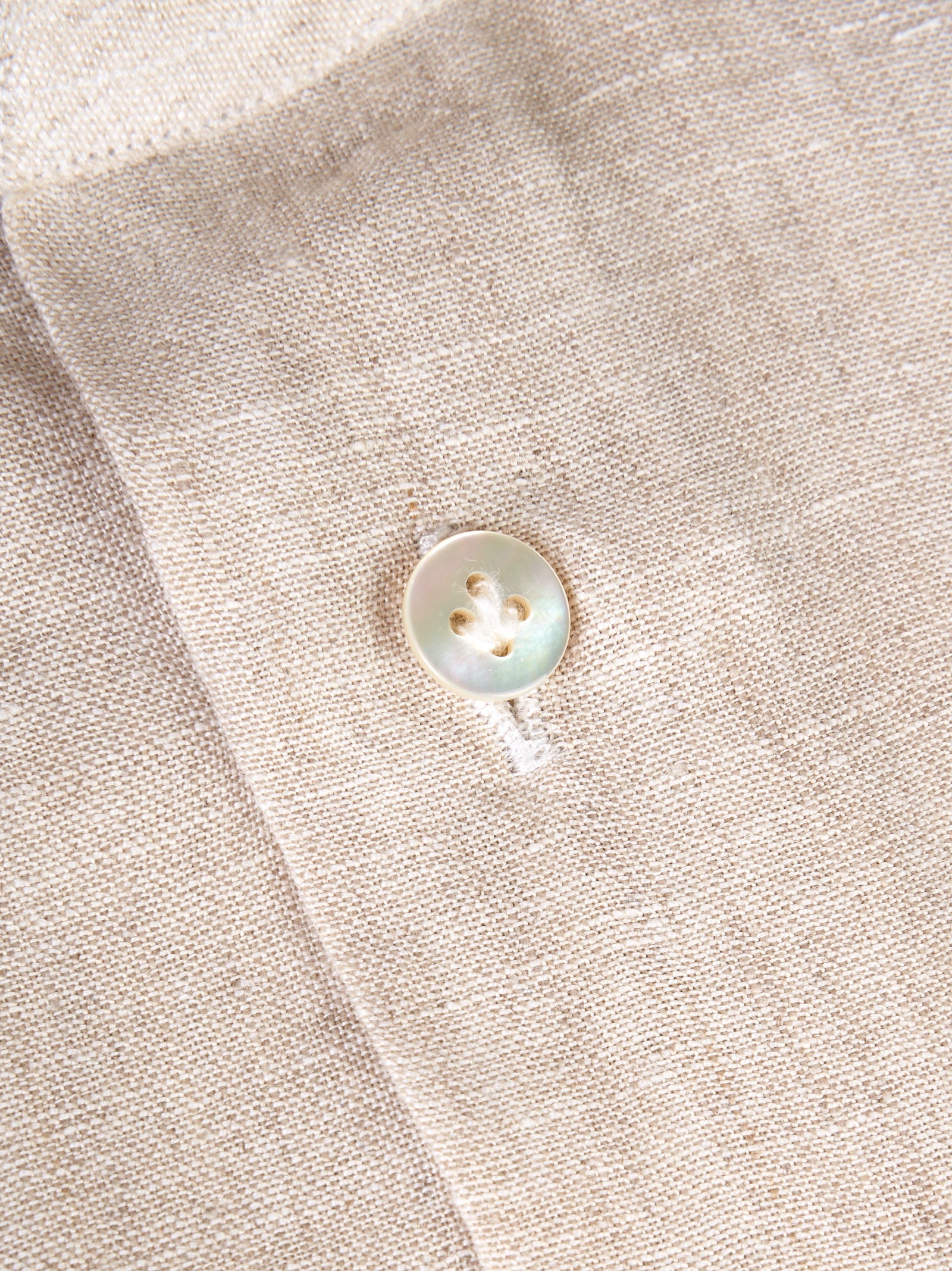 Immagine diapositiva