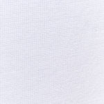 Immagine diapositiva