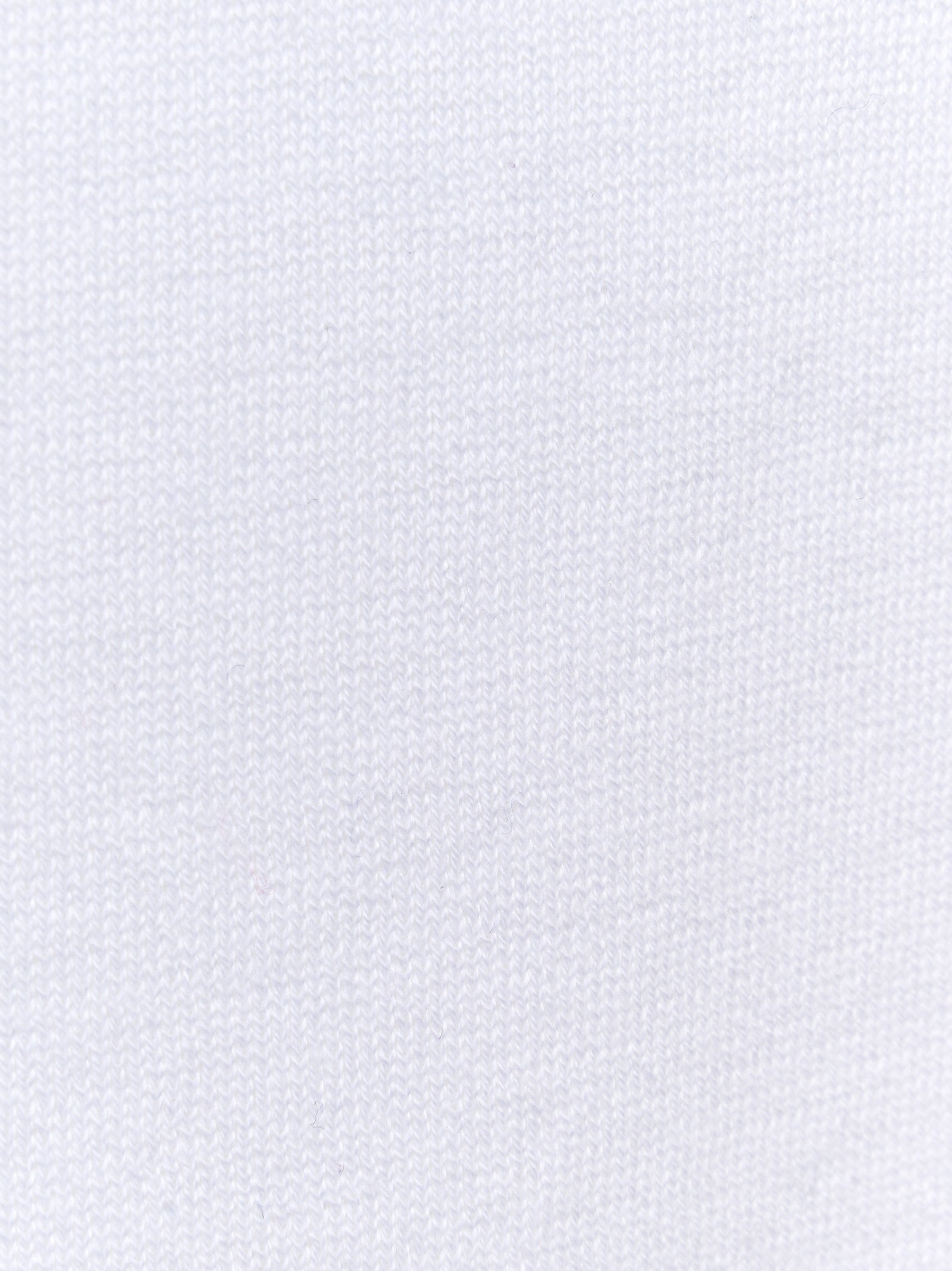 Immagine diapositiva