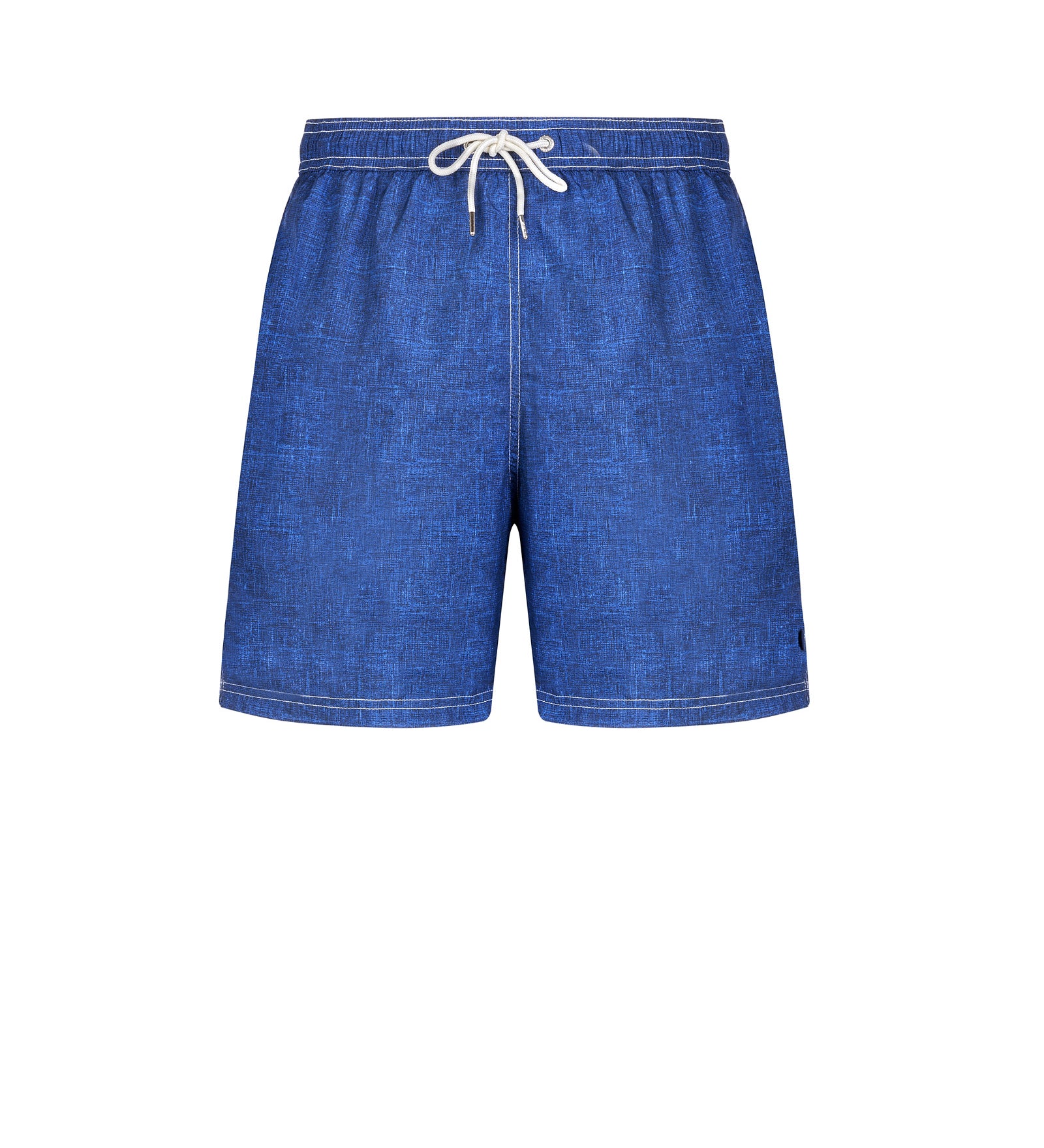 Immagine diapositiva